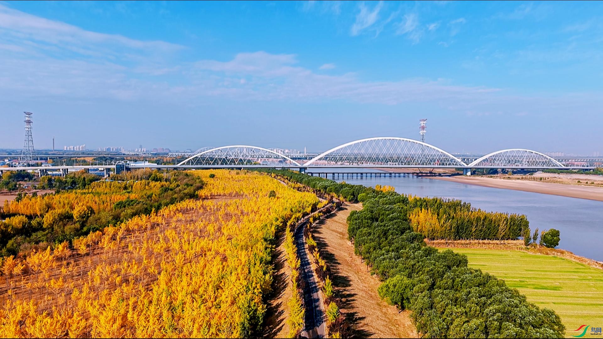 ���ϻƺ�������