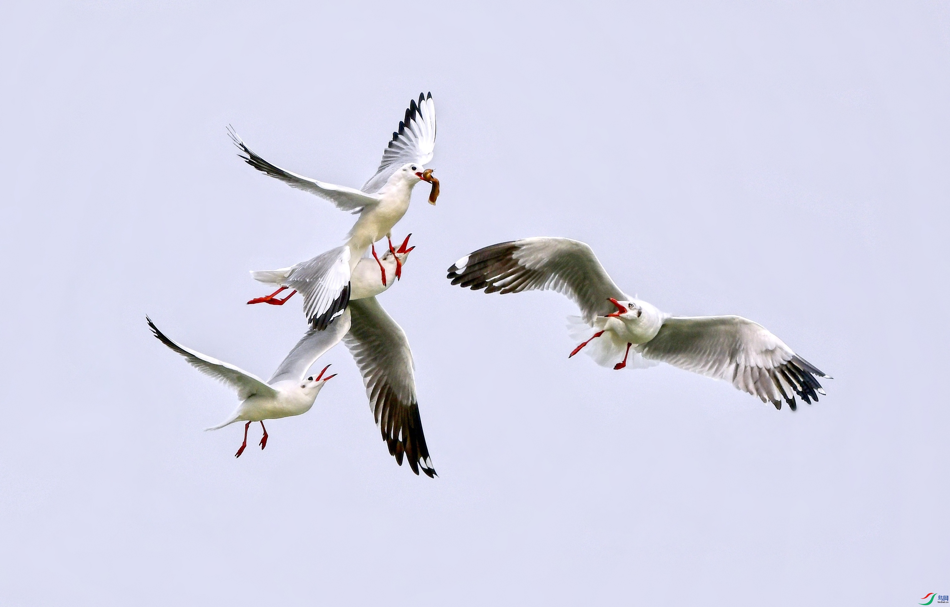DSC_4375_conew9.jpg