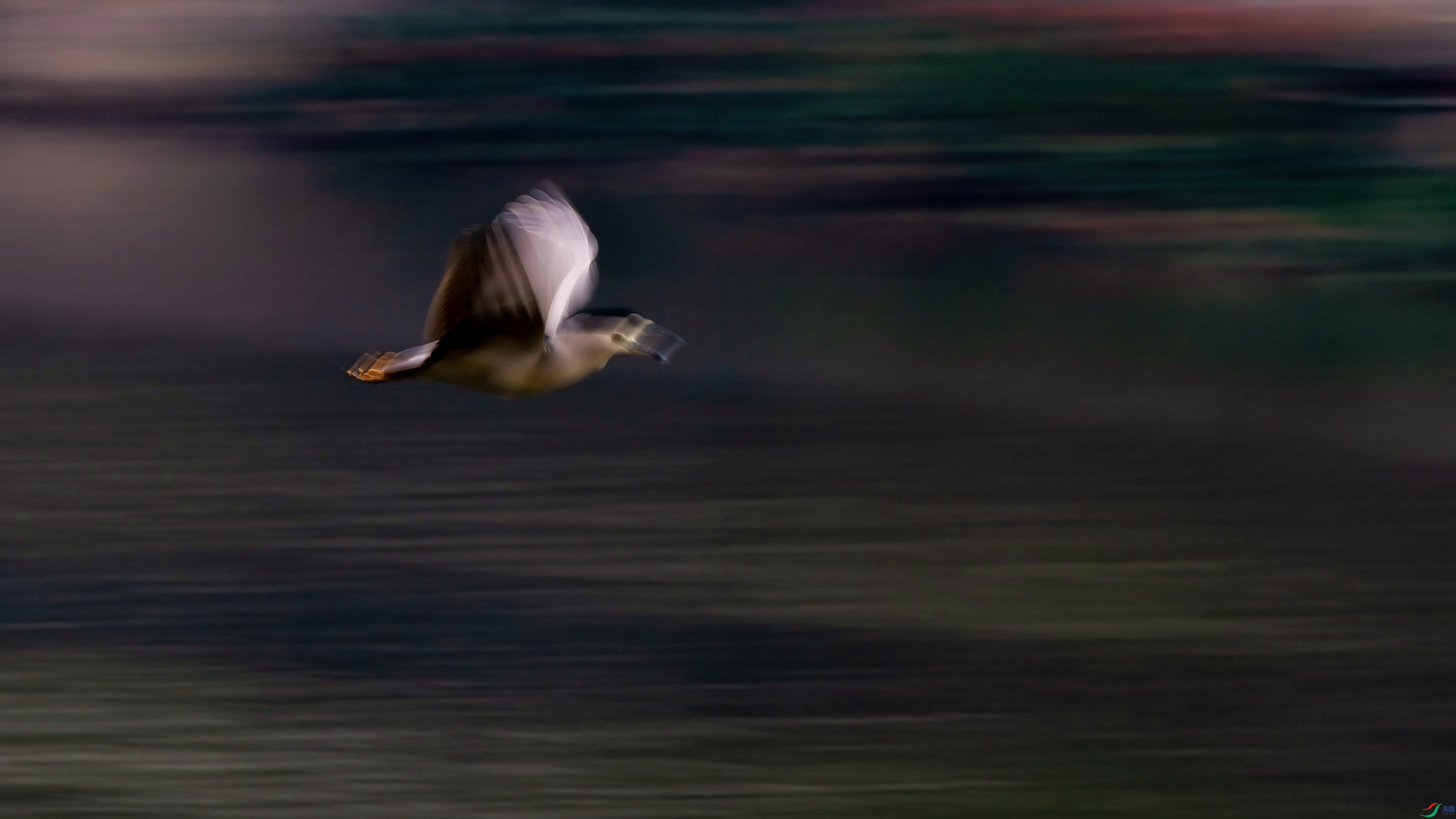 DSC_2757.jpg