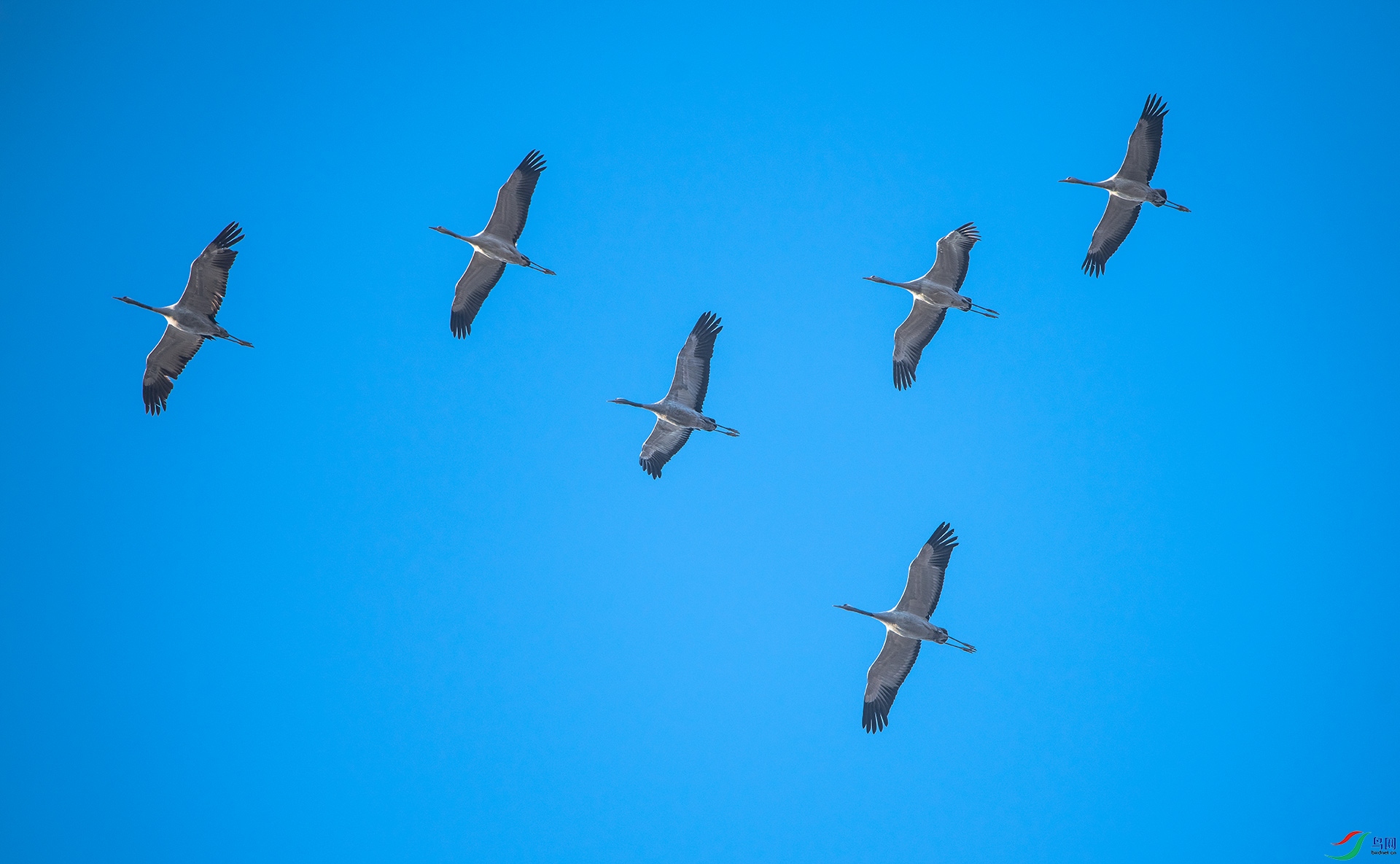 DSC_4056.jpg