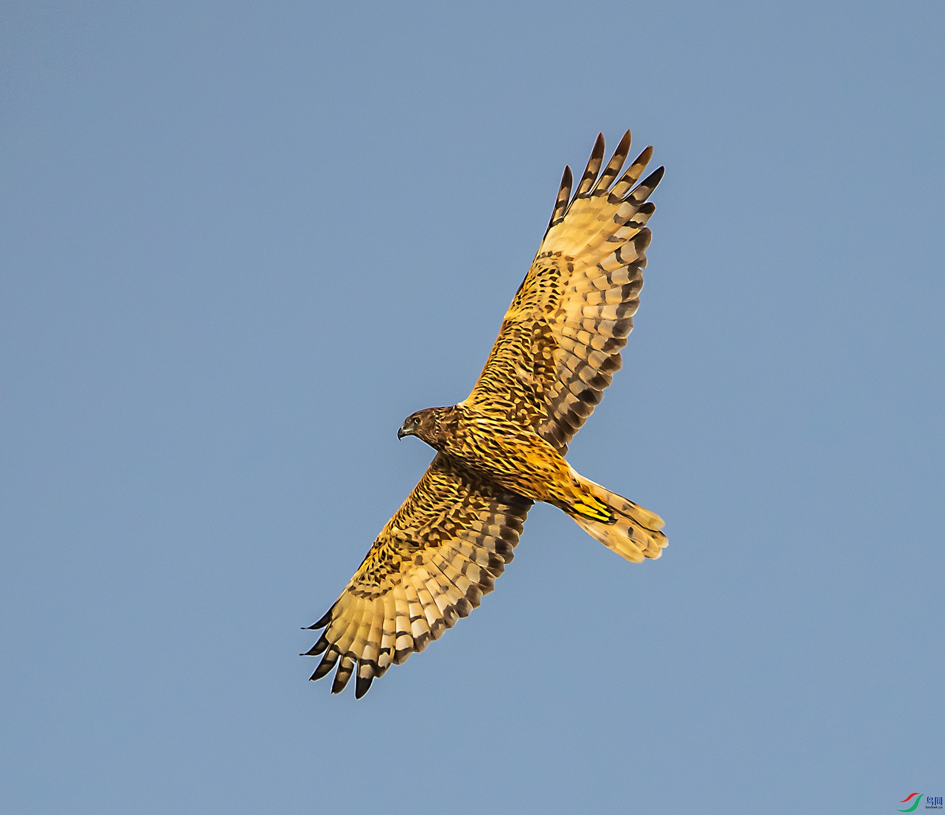 DSC_0715.jpg