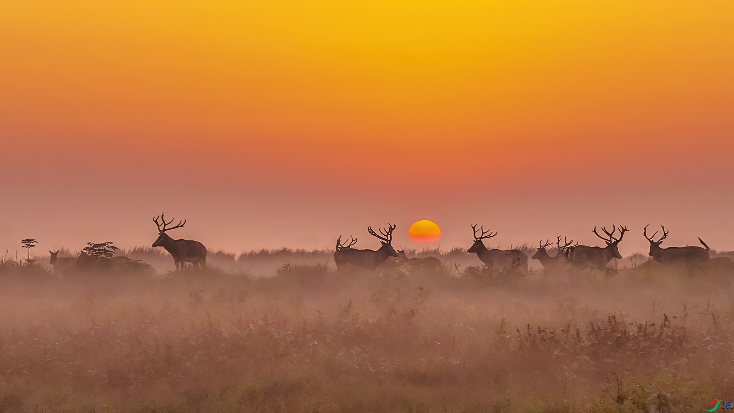 G81A9962 ����1.jpg