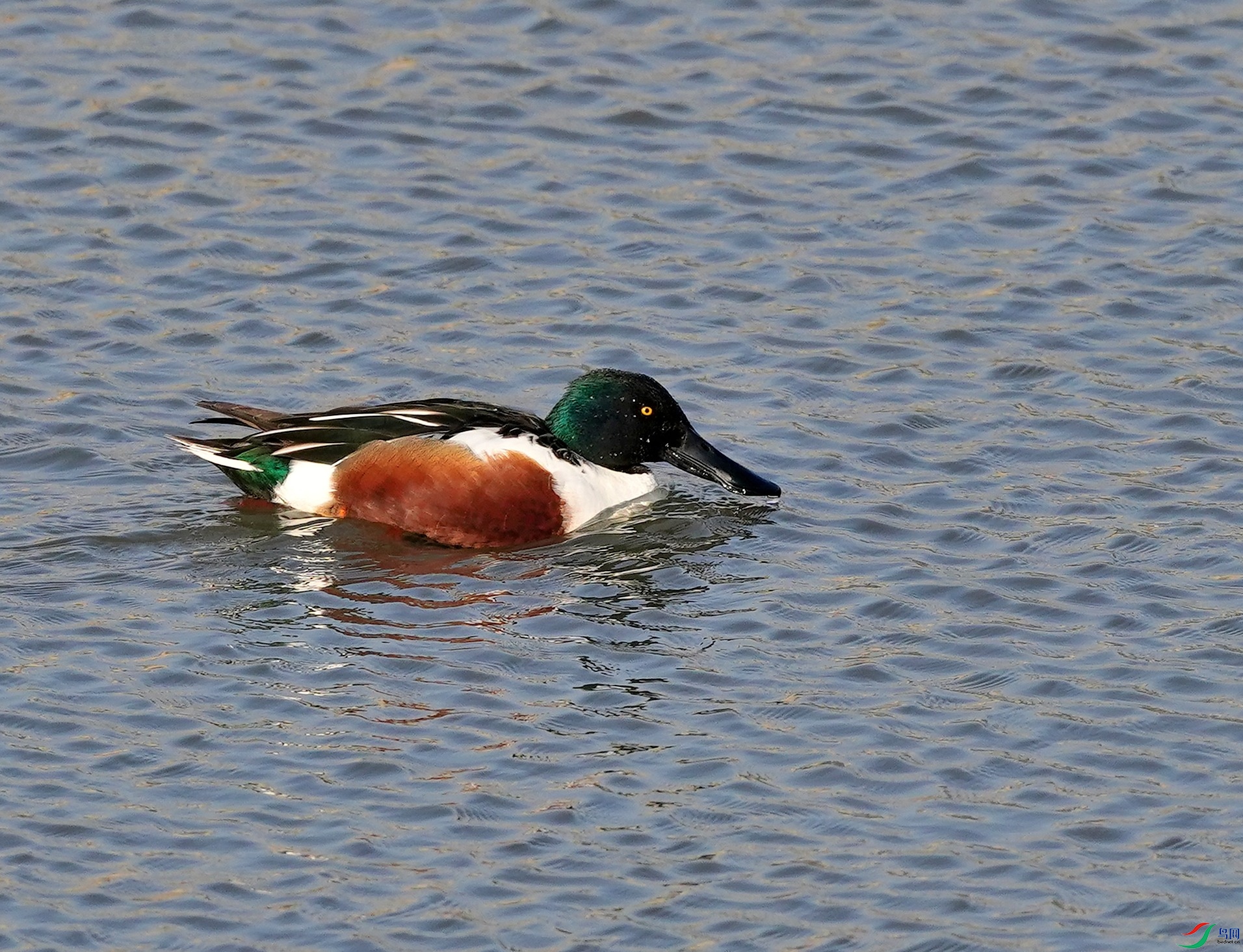 DSC05816.JPG