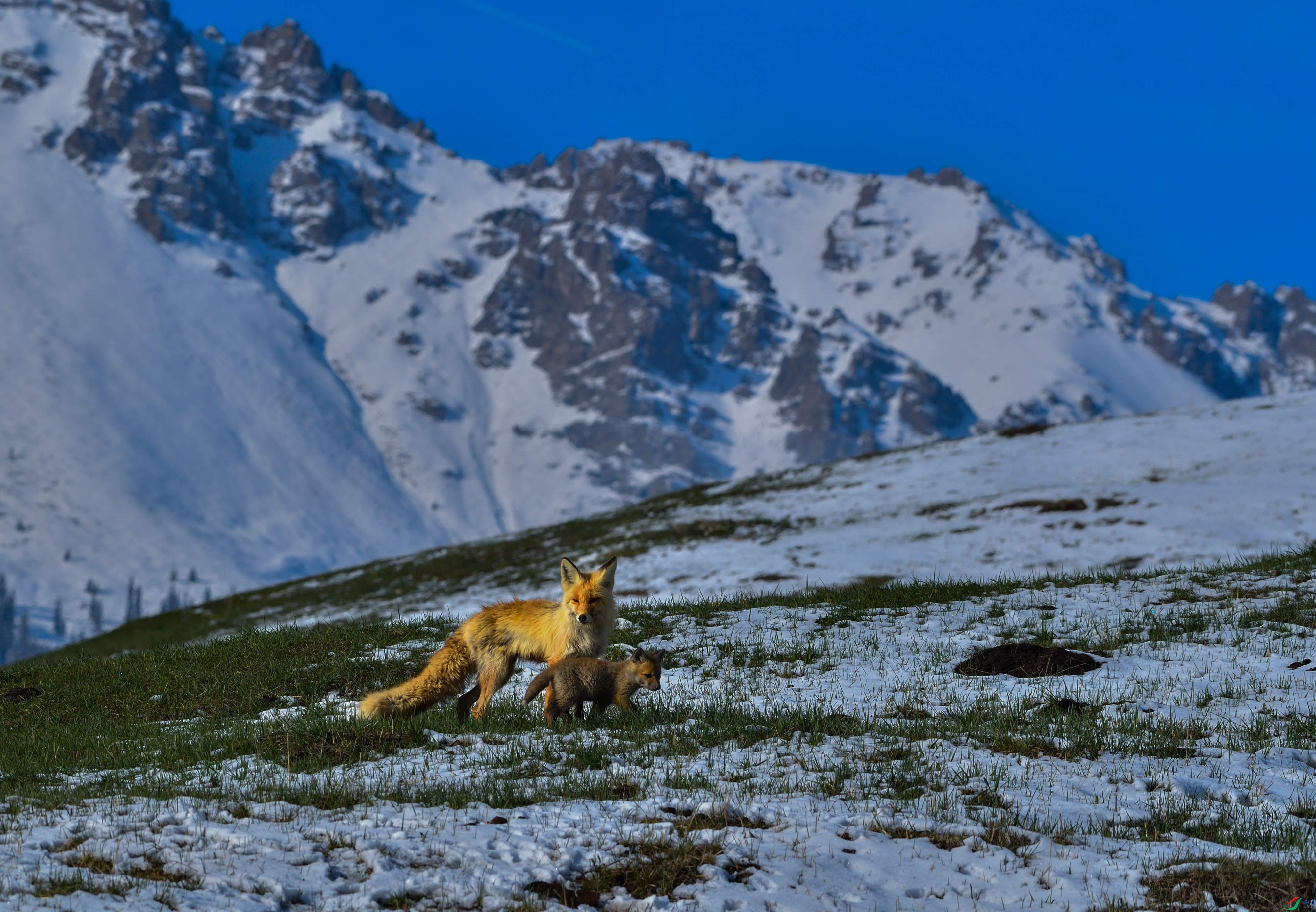 DSC_7587.jpg