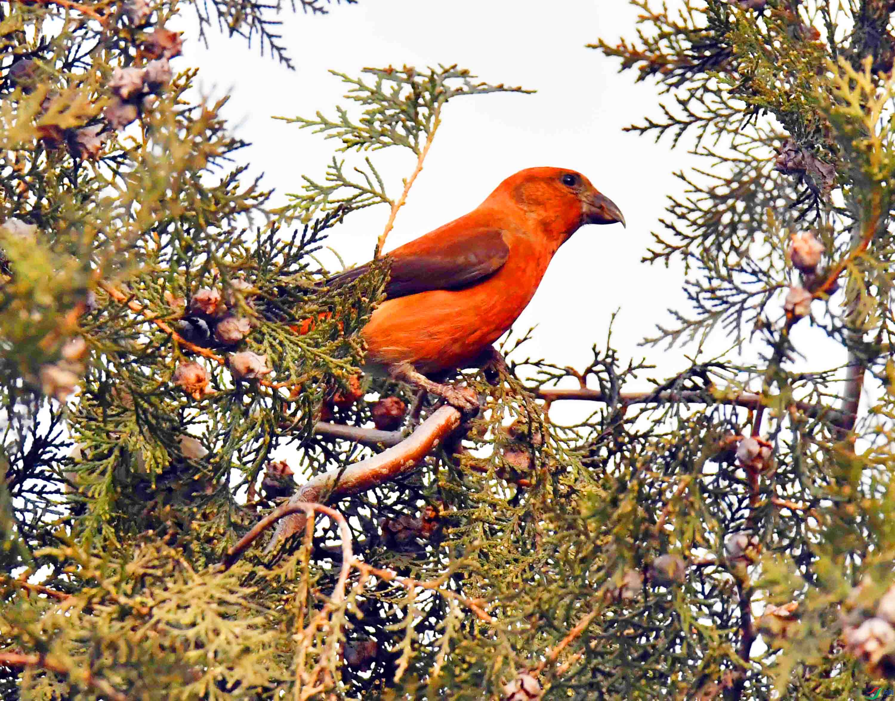 DSC_5110.JPG