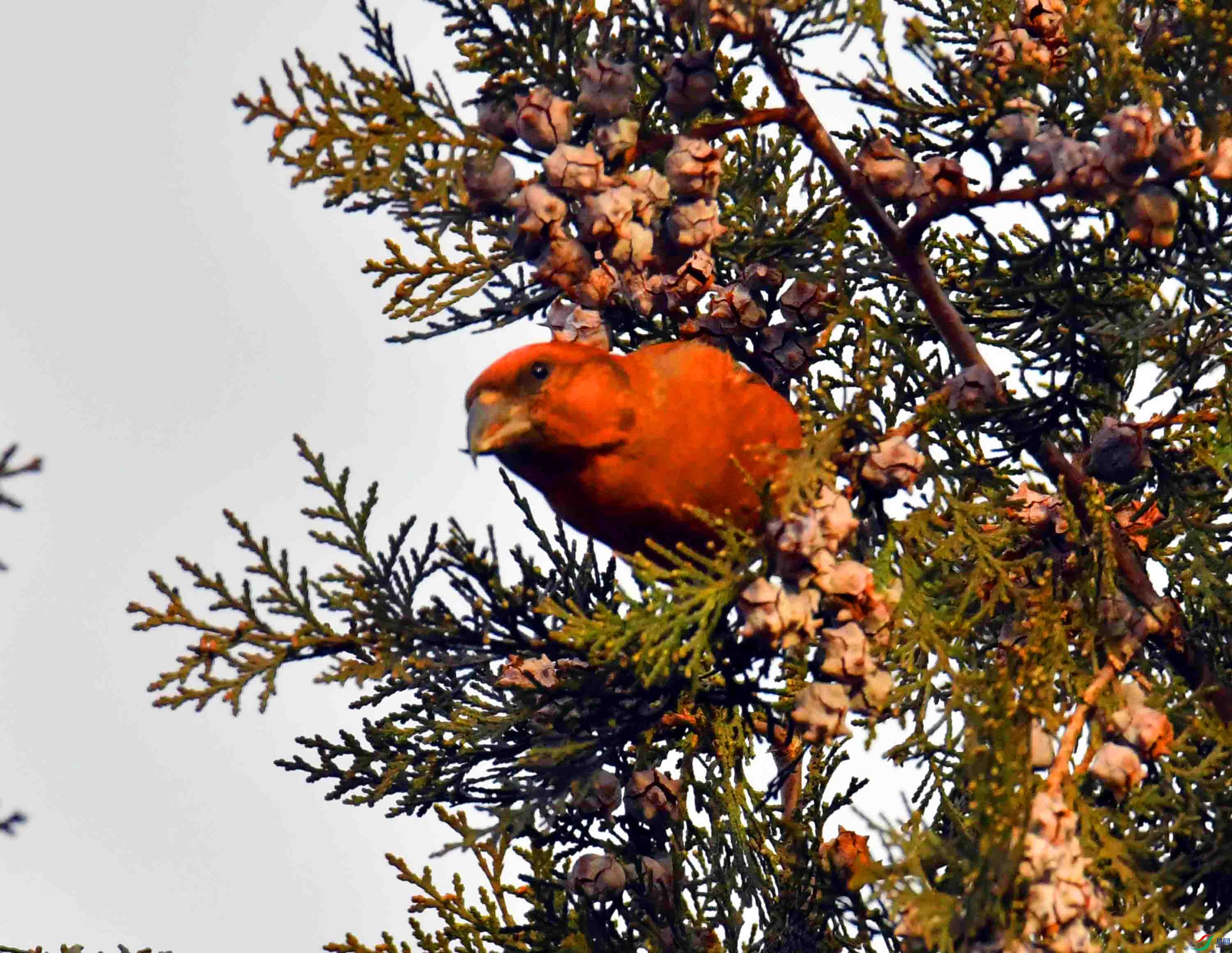 DSC_5283.JPG