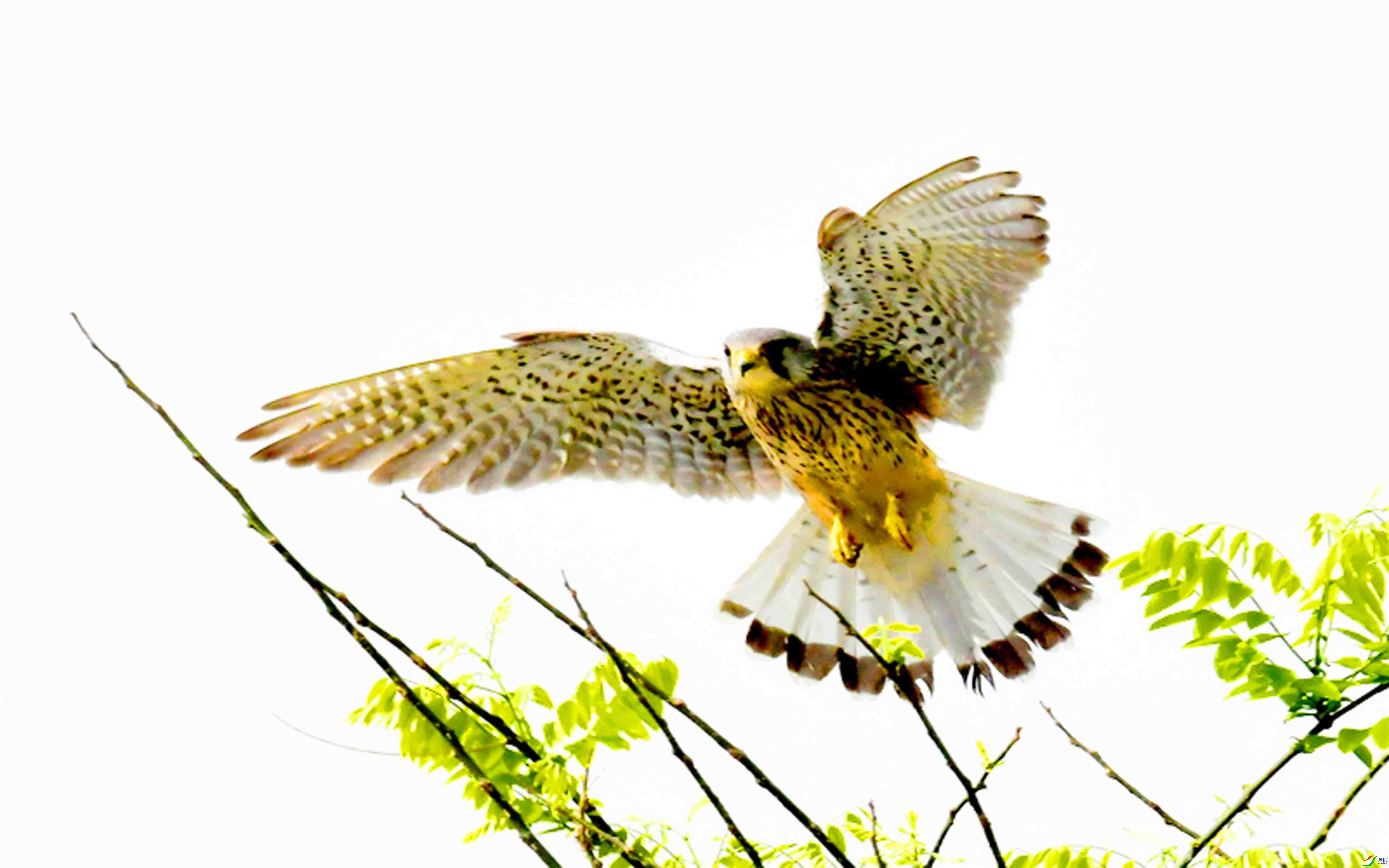 DSC_7909.JPG