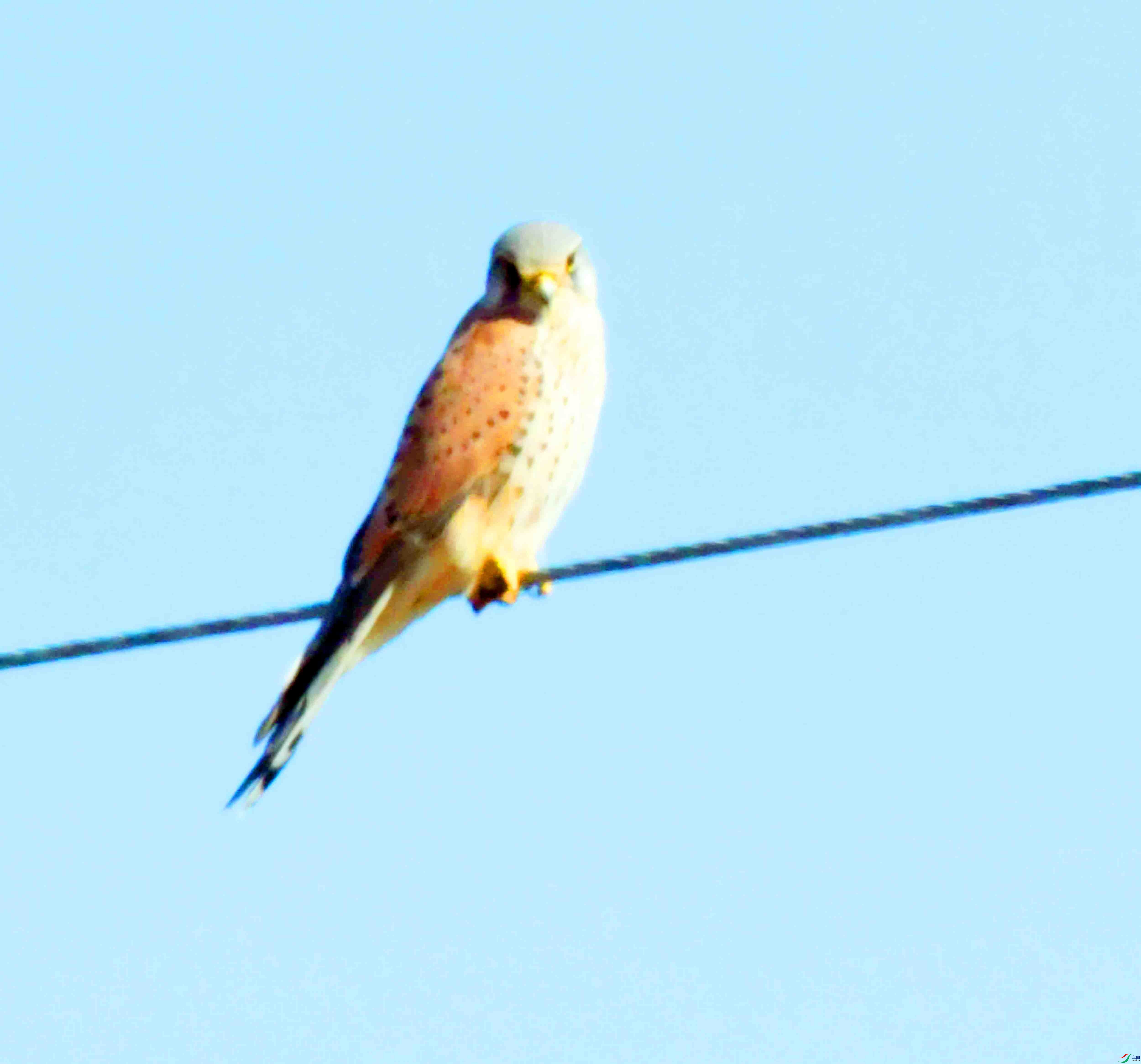 DSC_8060.JPG