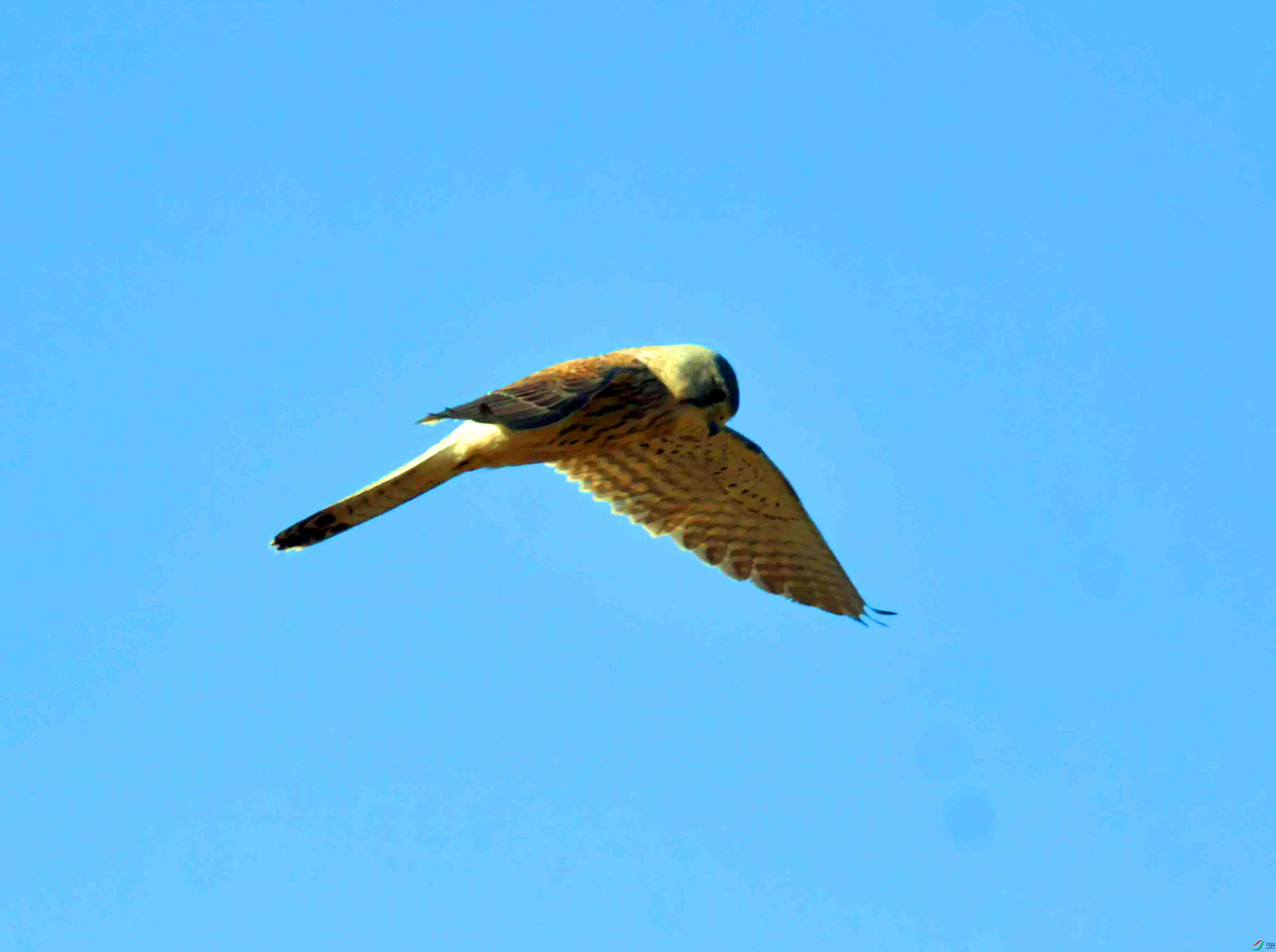 DSC_8637.JPG