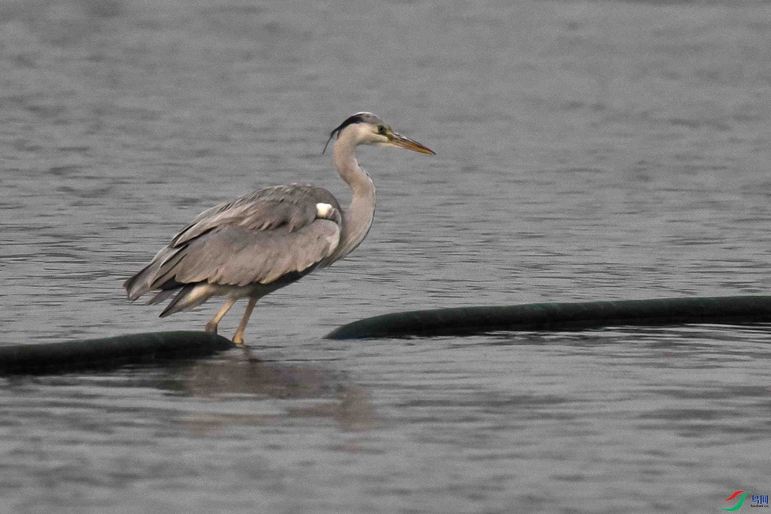 DSC_5452.JPG