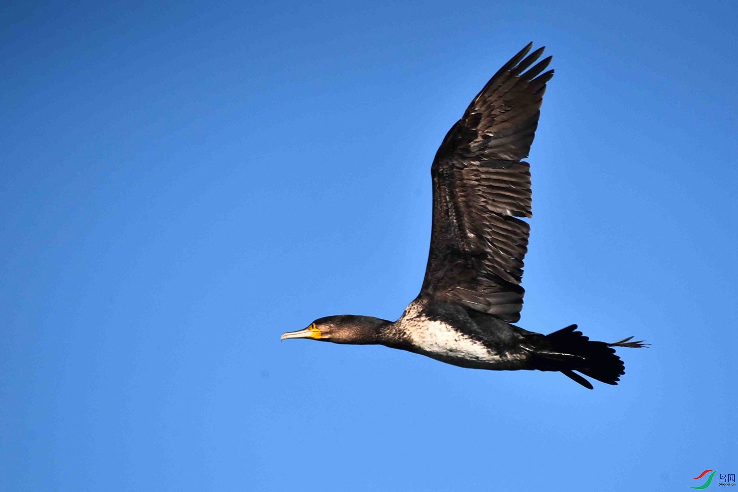 DSC_5659.JPG