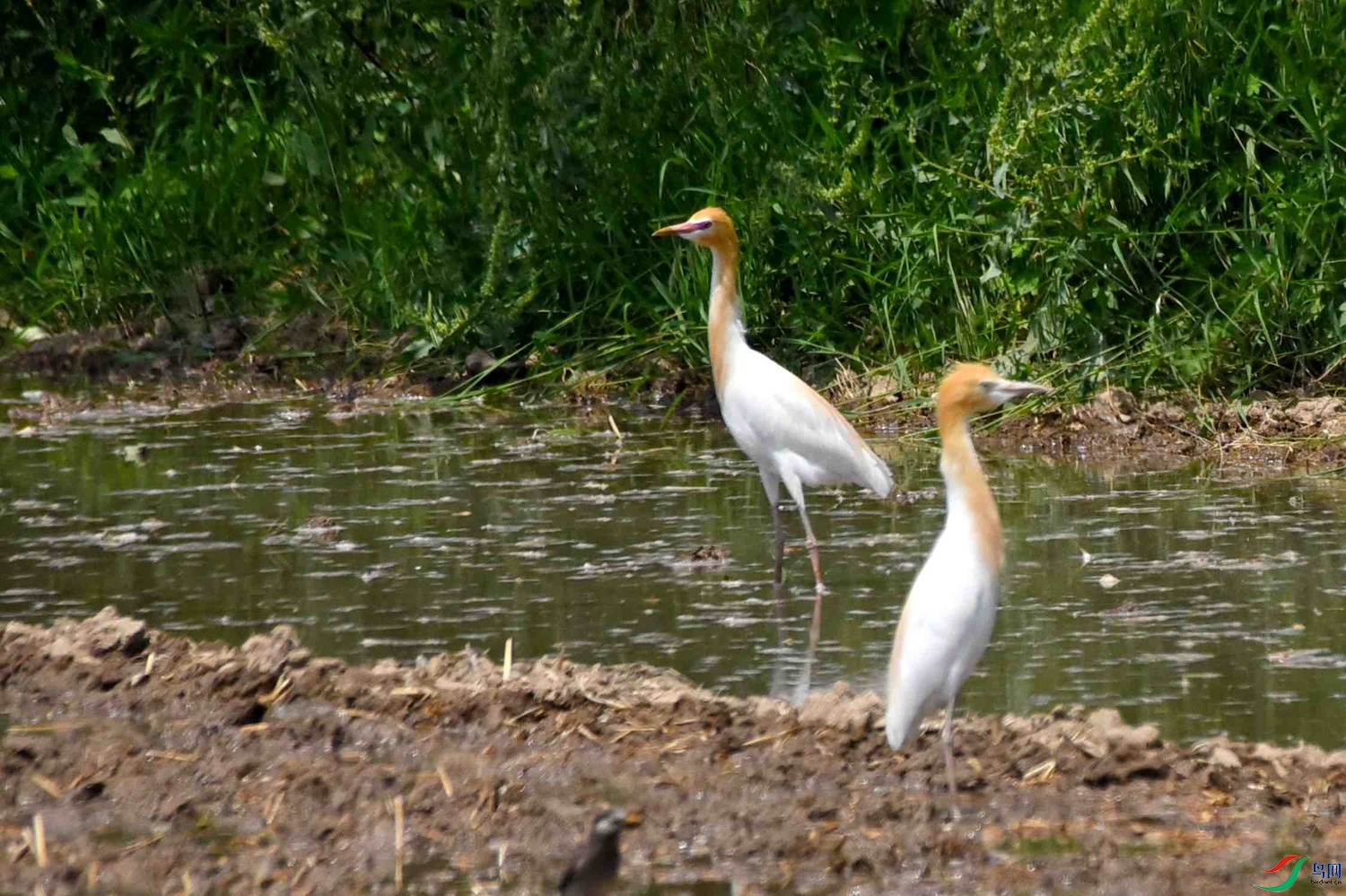 DSC_8058.JPG