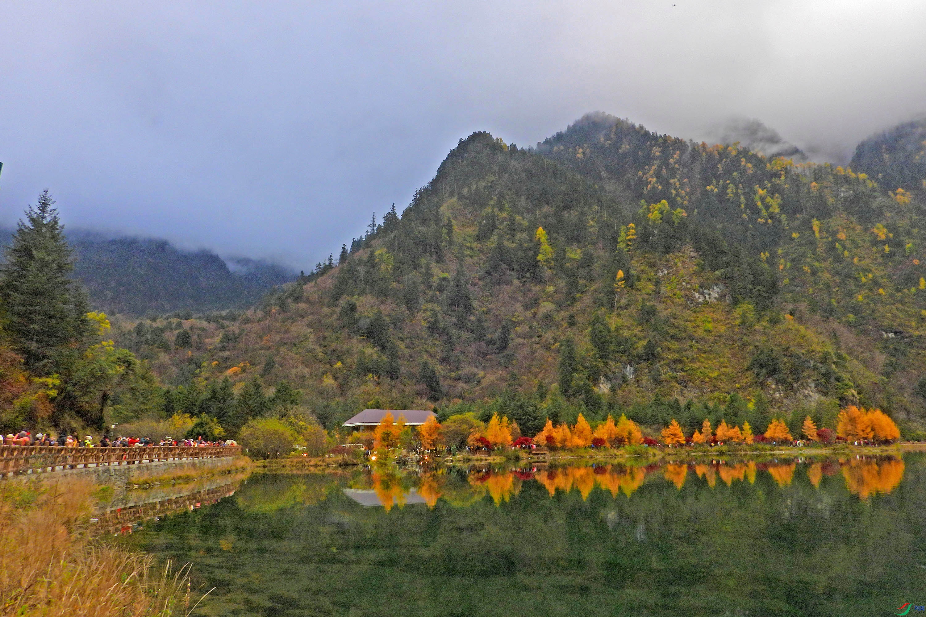 DSCN4252.JPG