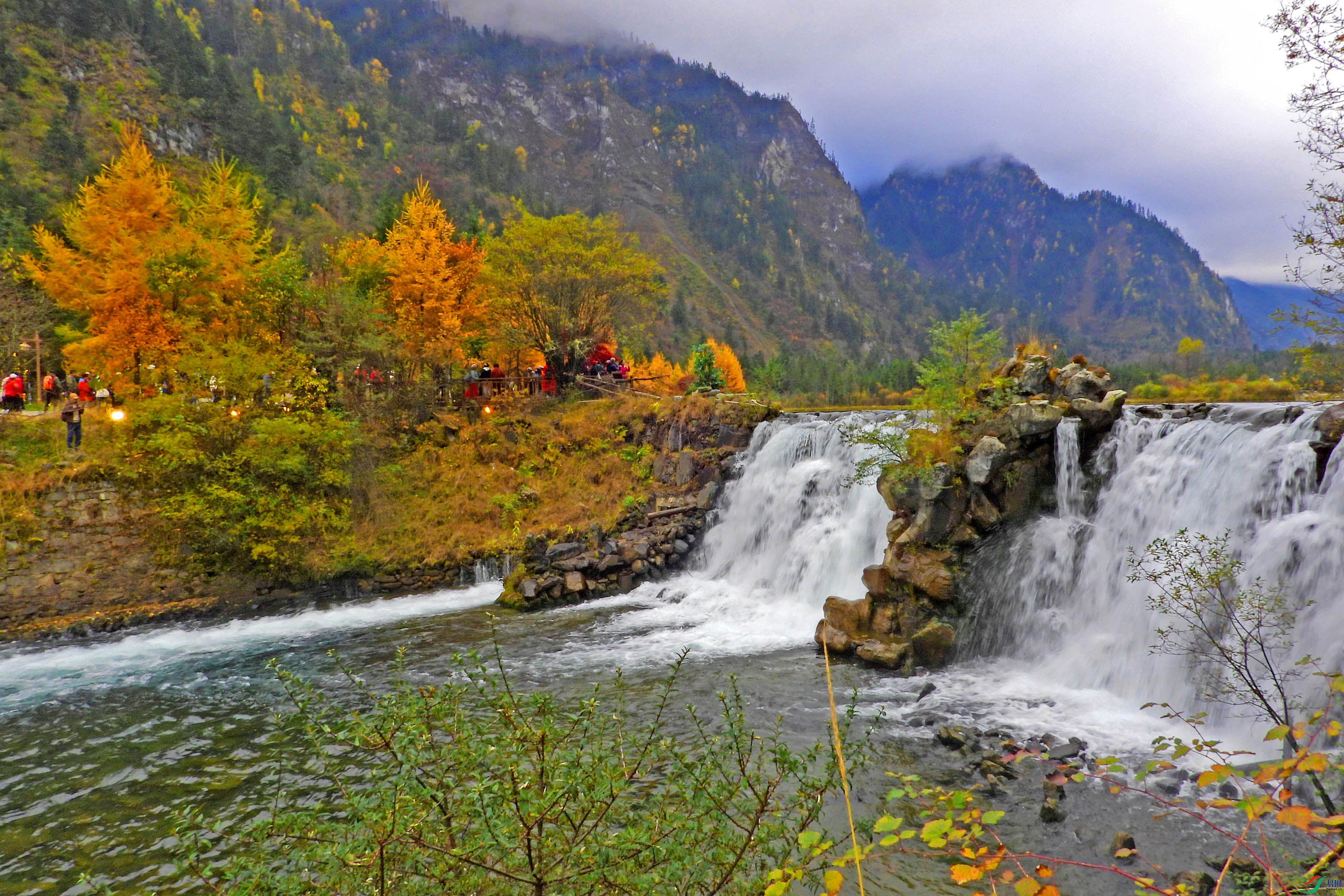 DSCN4260.jpg