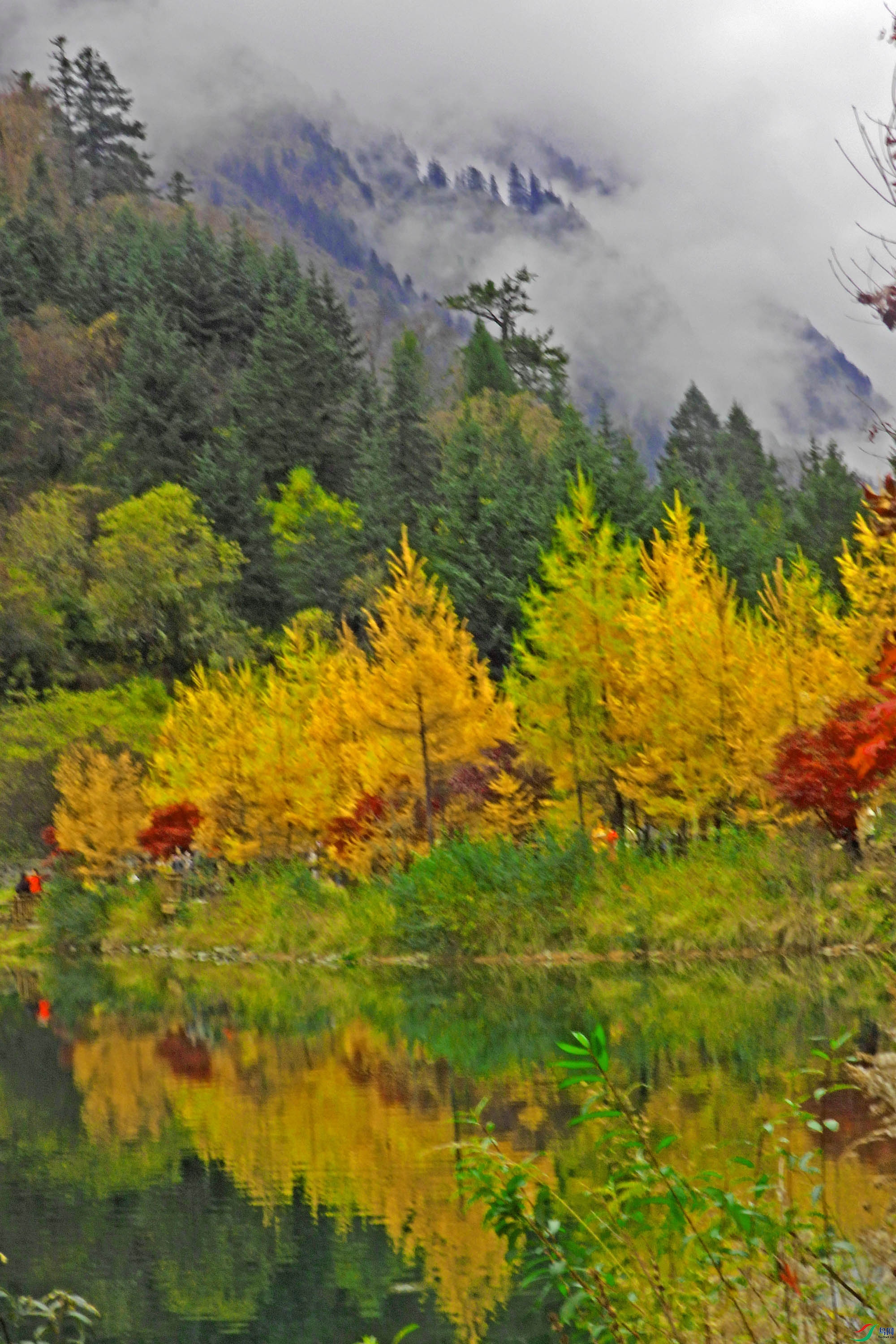 DSCN4285.jpg