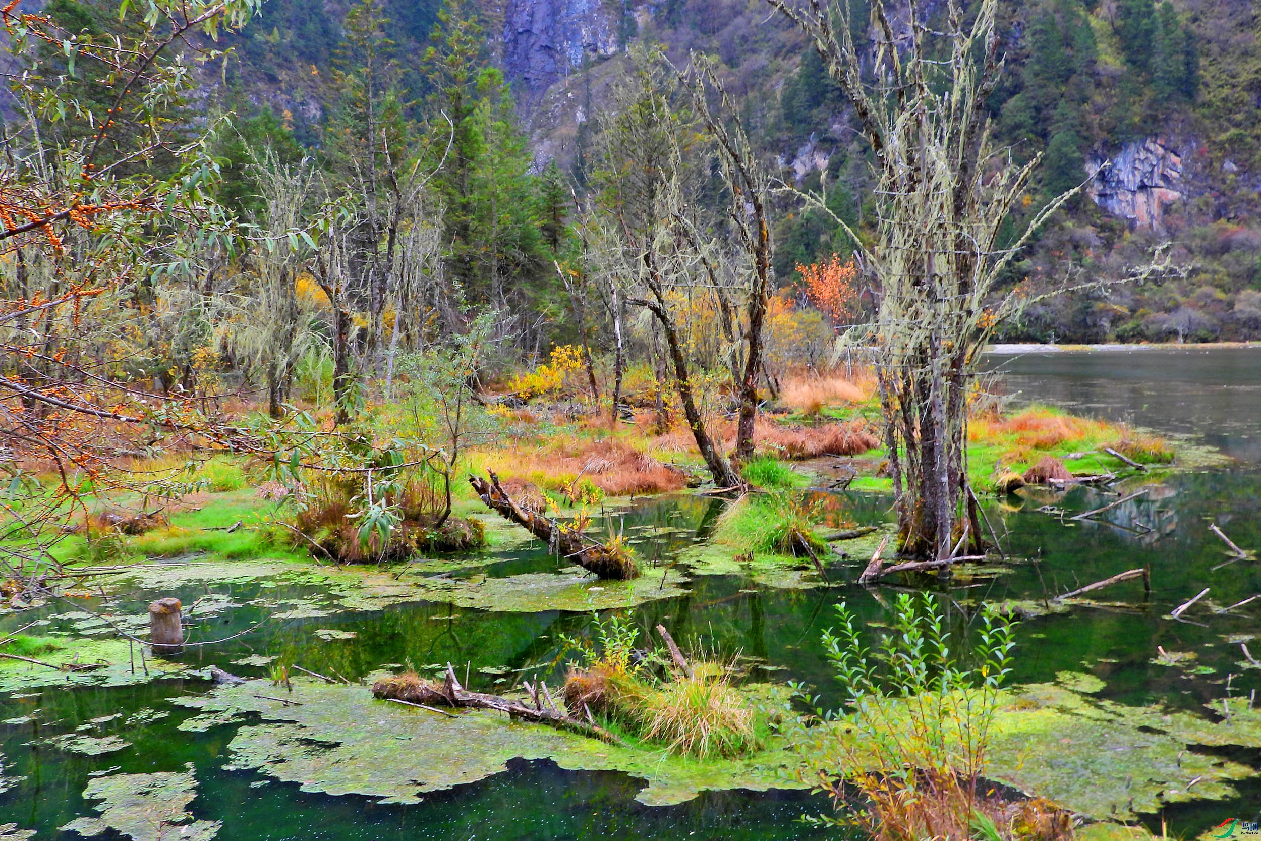 DSCN4304.JPG