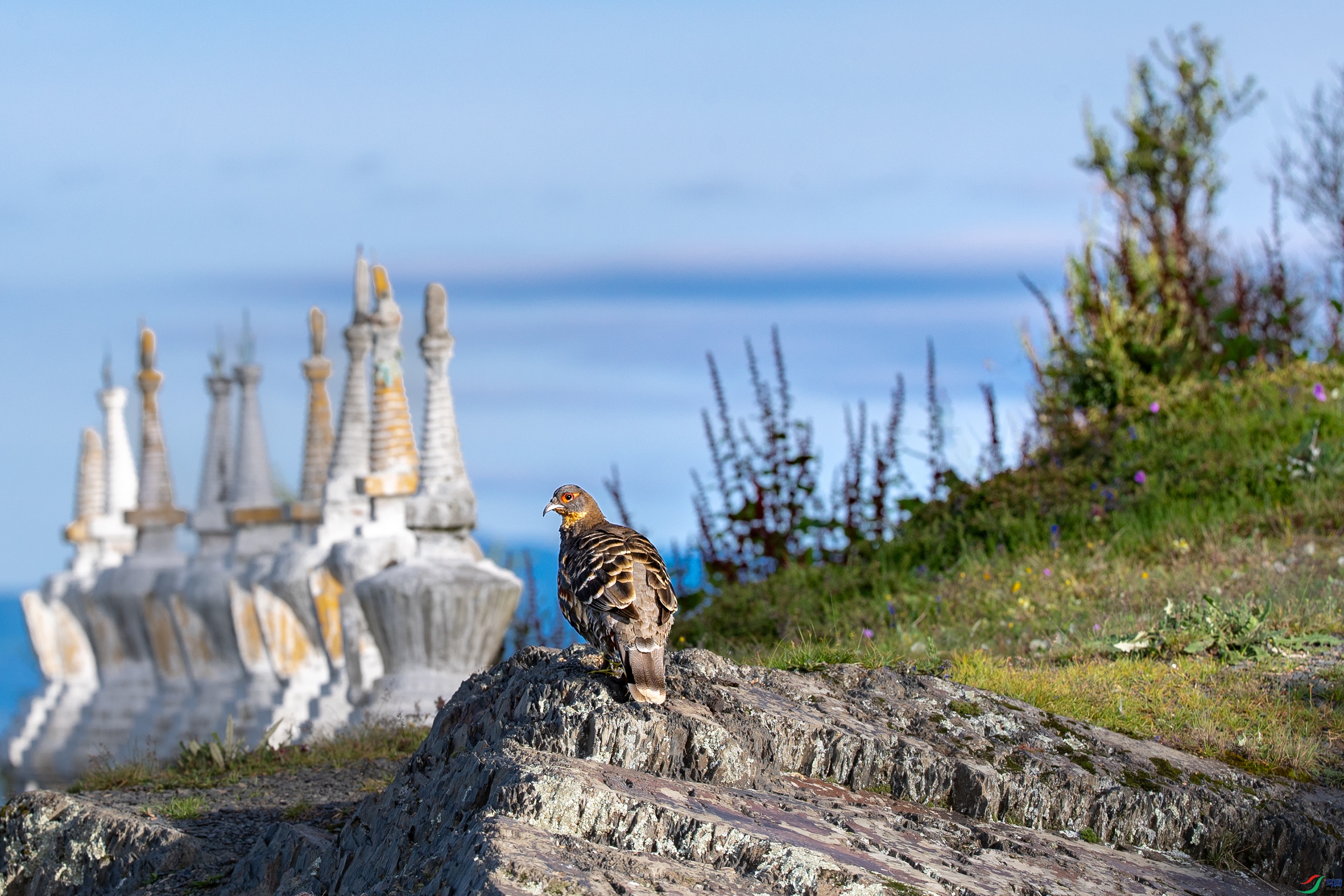 AY8I3648 ����.jpg