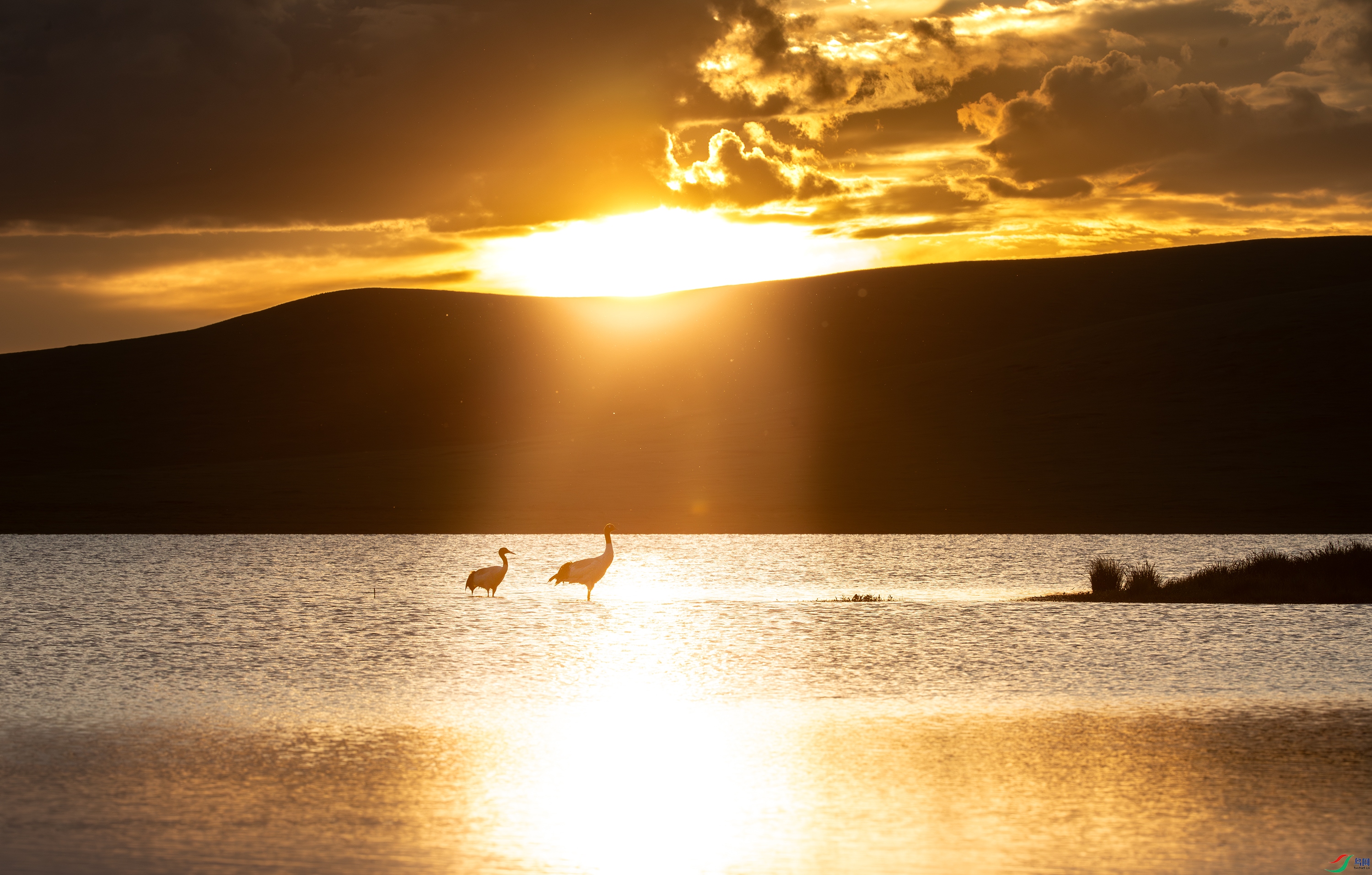 3S5A0504- ����.jpg