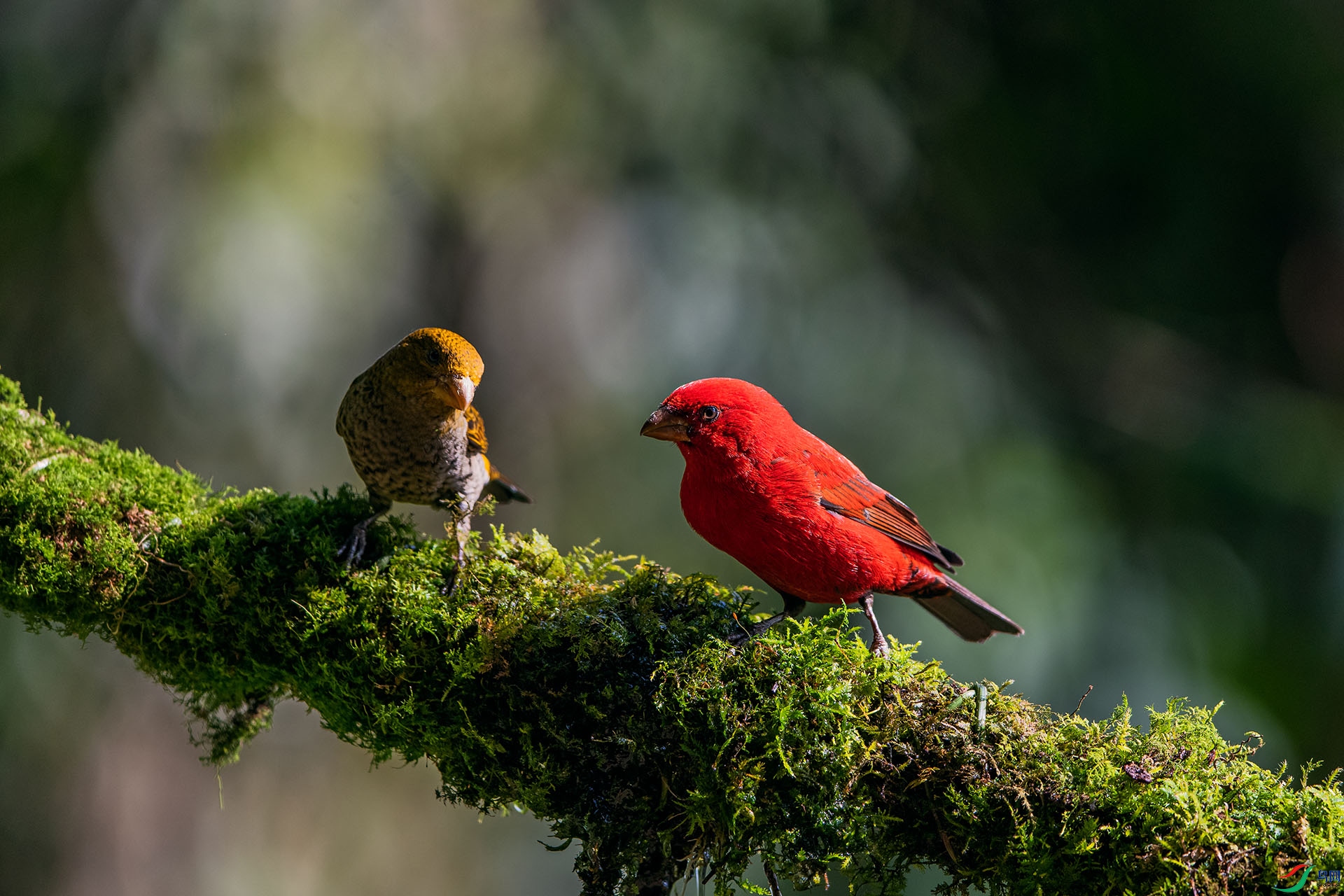 _AUU7262ͬ��(24.2.12).jpg