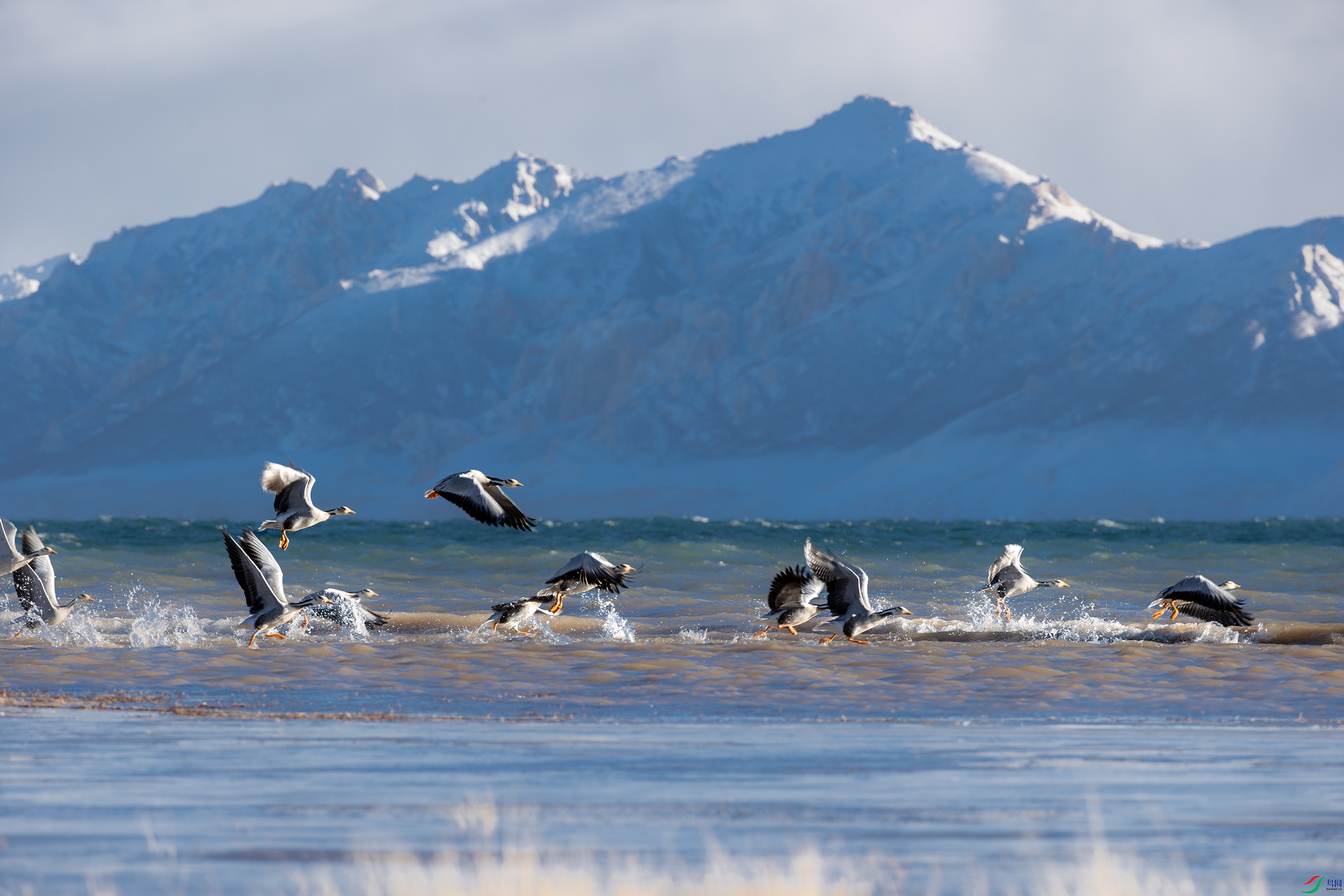 A15I8301- ����.jpg