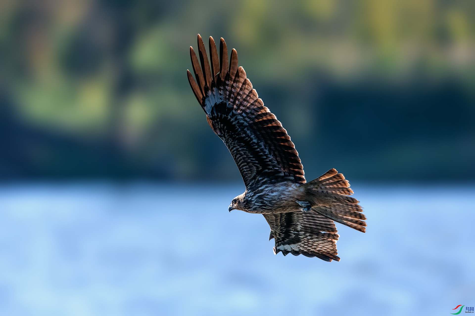 ��_AUU7590�����(23.10.18)-1.jpg