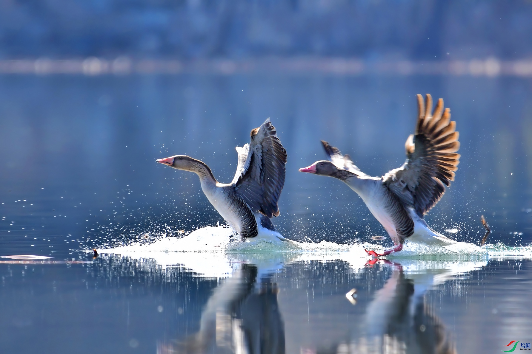 DSC_0032 ����.jpg