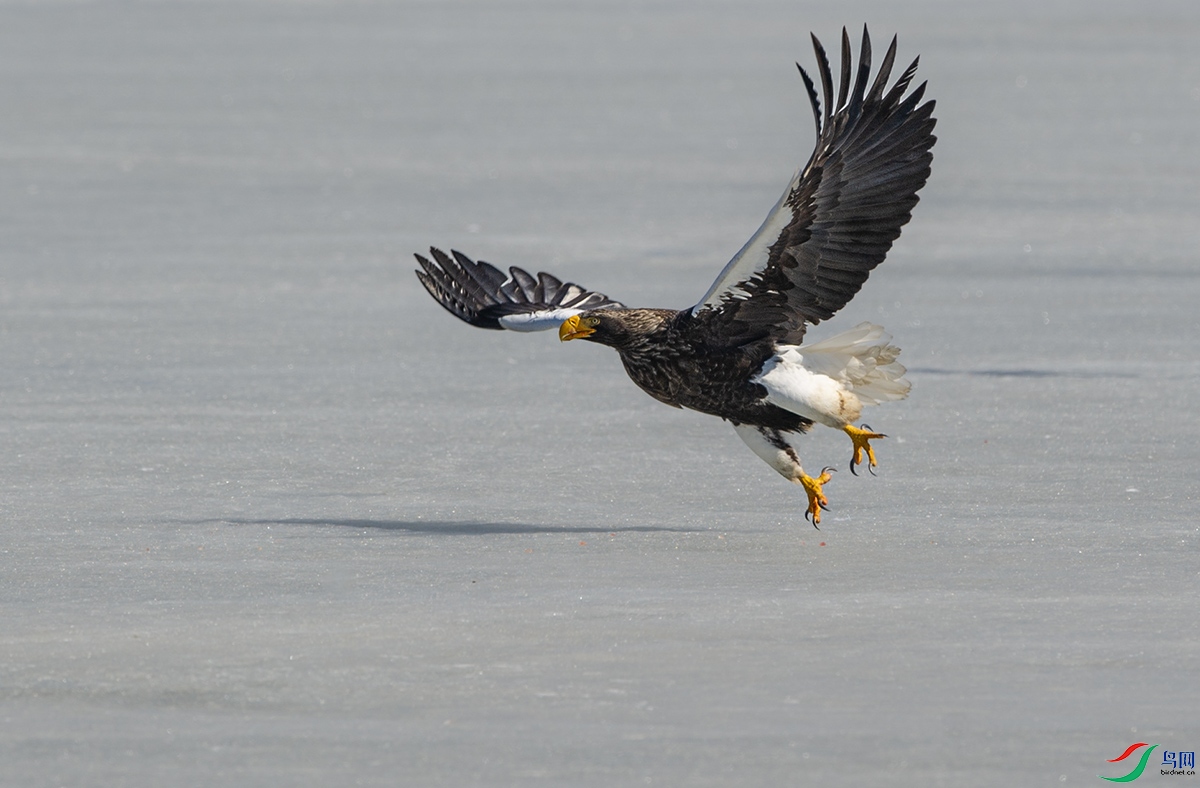 DSC_76651.jpg