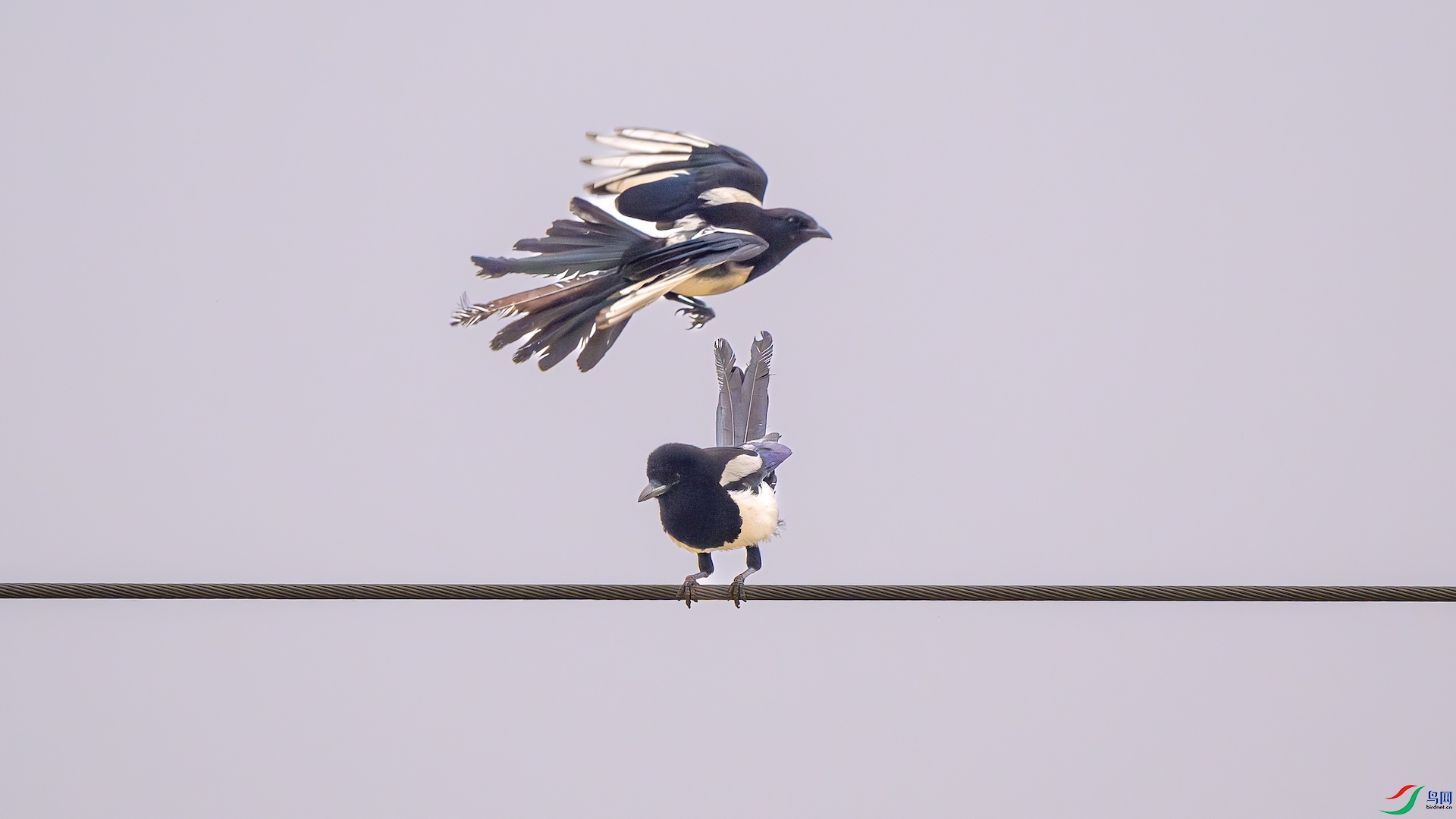 1_DSC0856-����ǿ-NR ����.jpeg