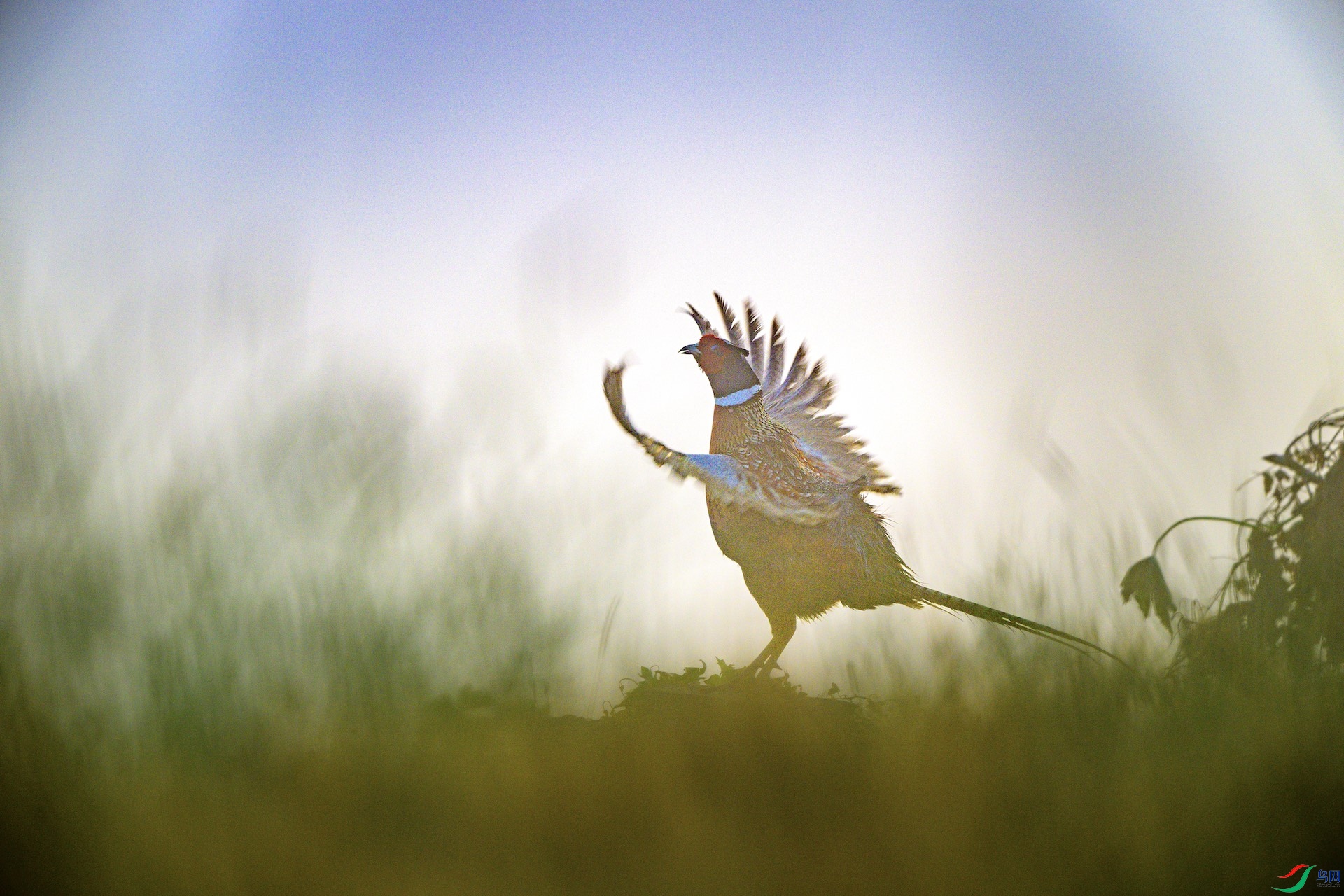 1_DSC1149 ����.jpeg