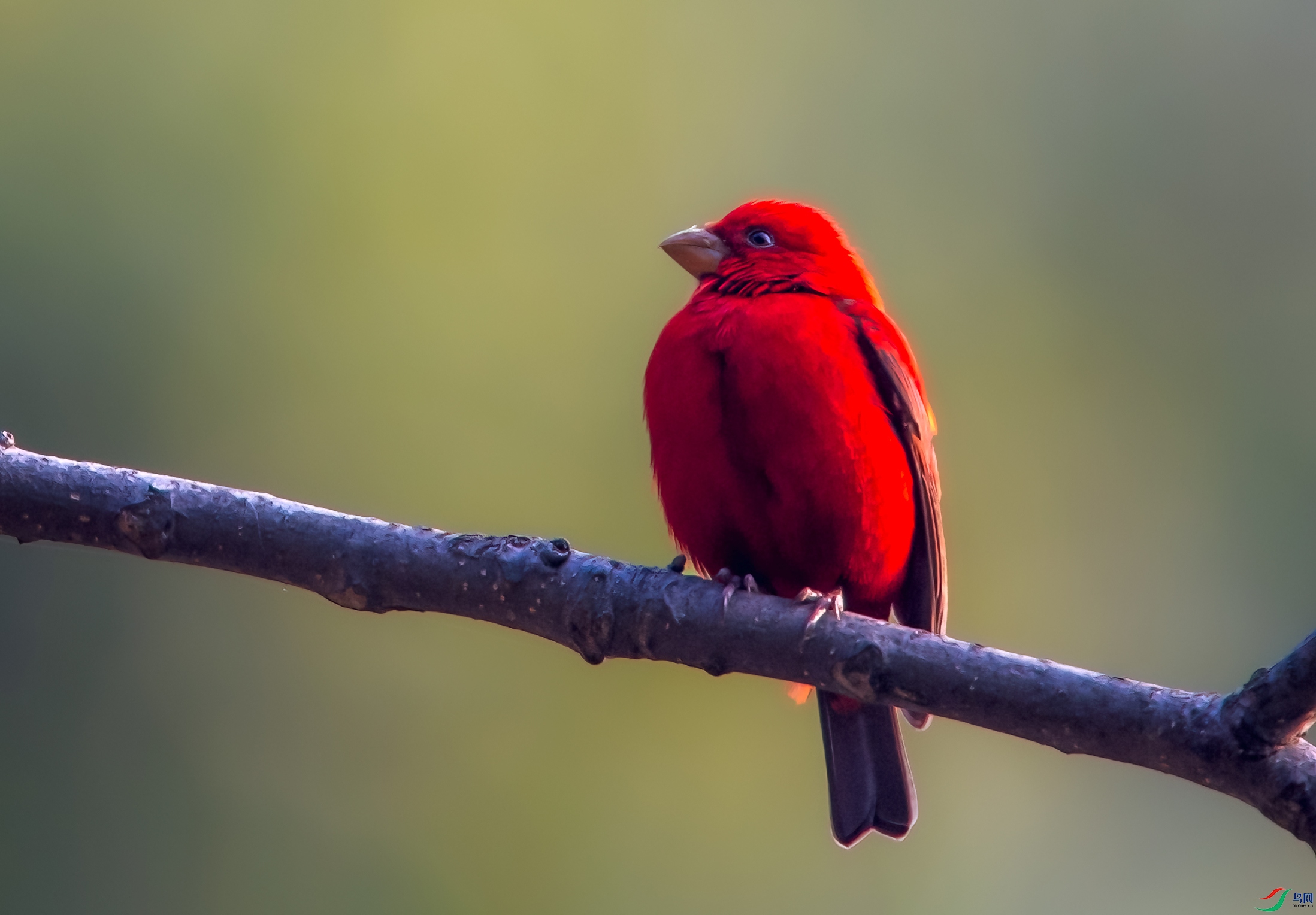 DSC_7971.jpg