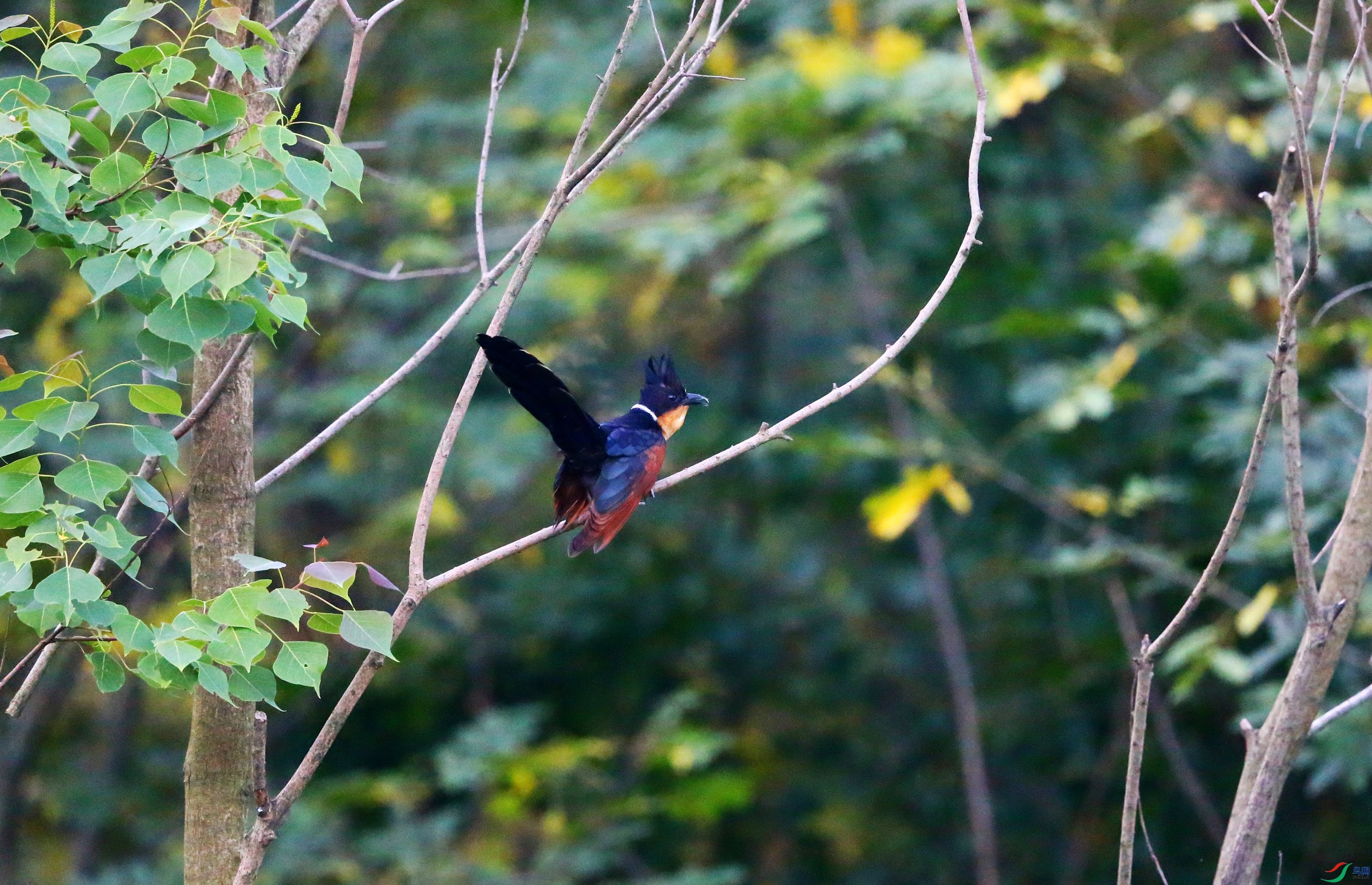 ����ͷ�� (20).JPG