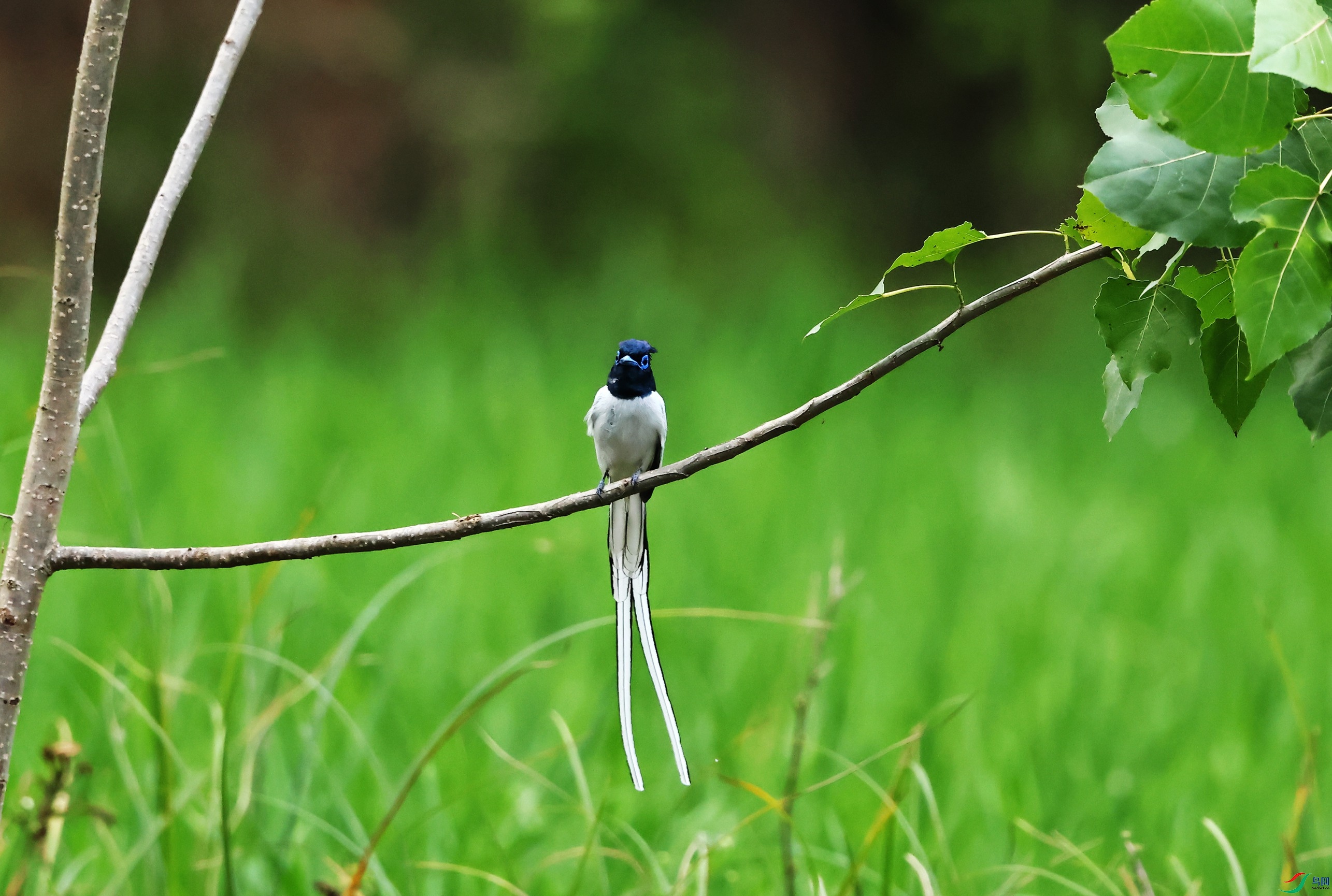 練��� (10).JPG