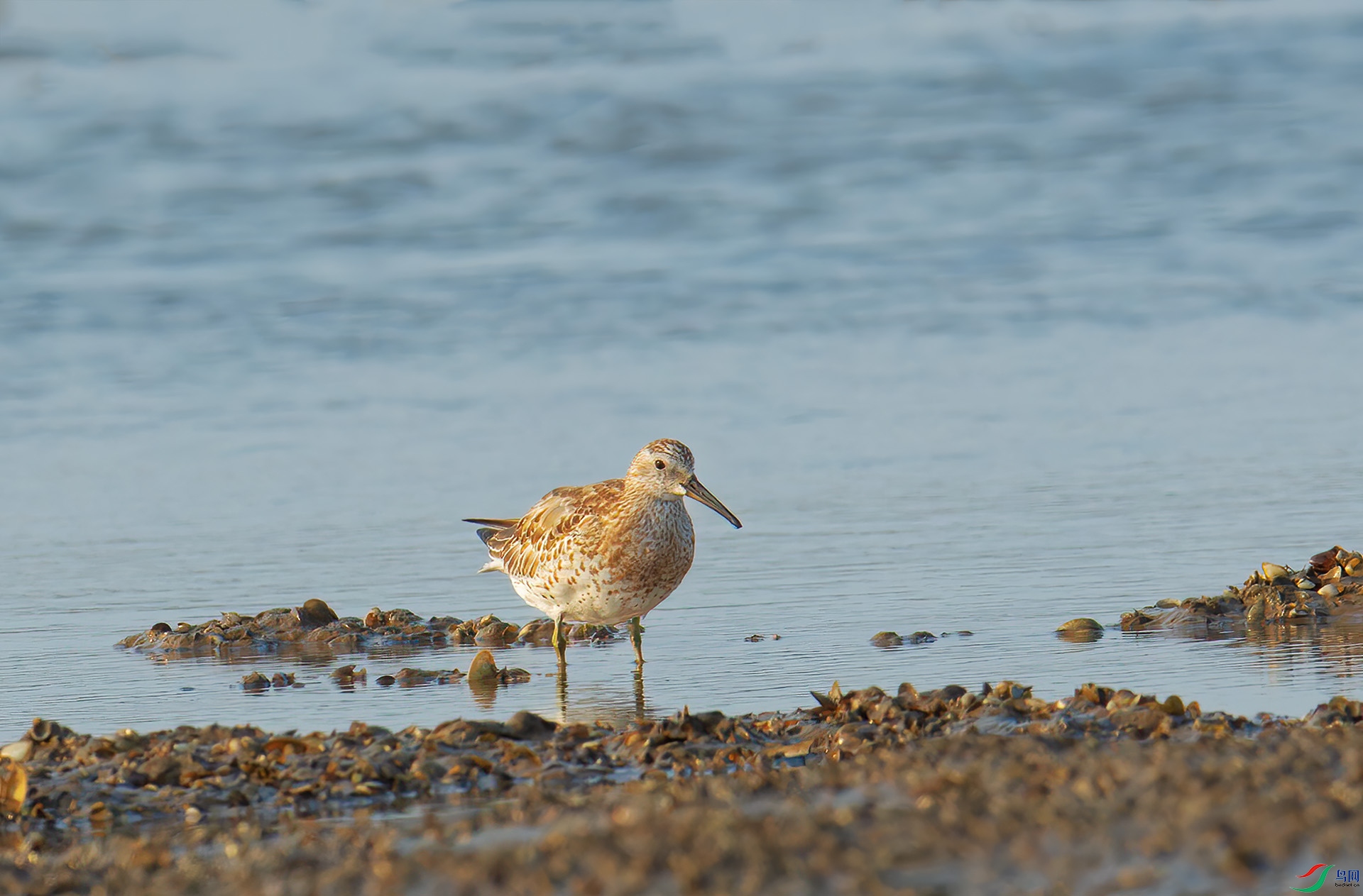 DSC_7885-1.jpg