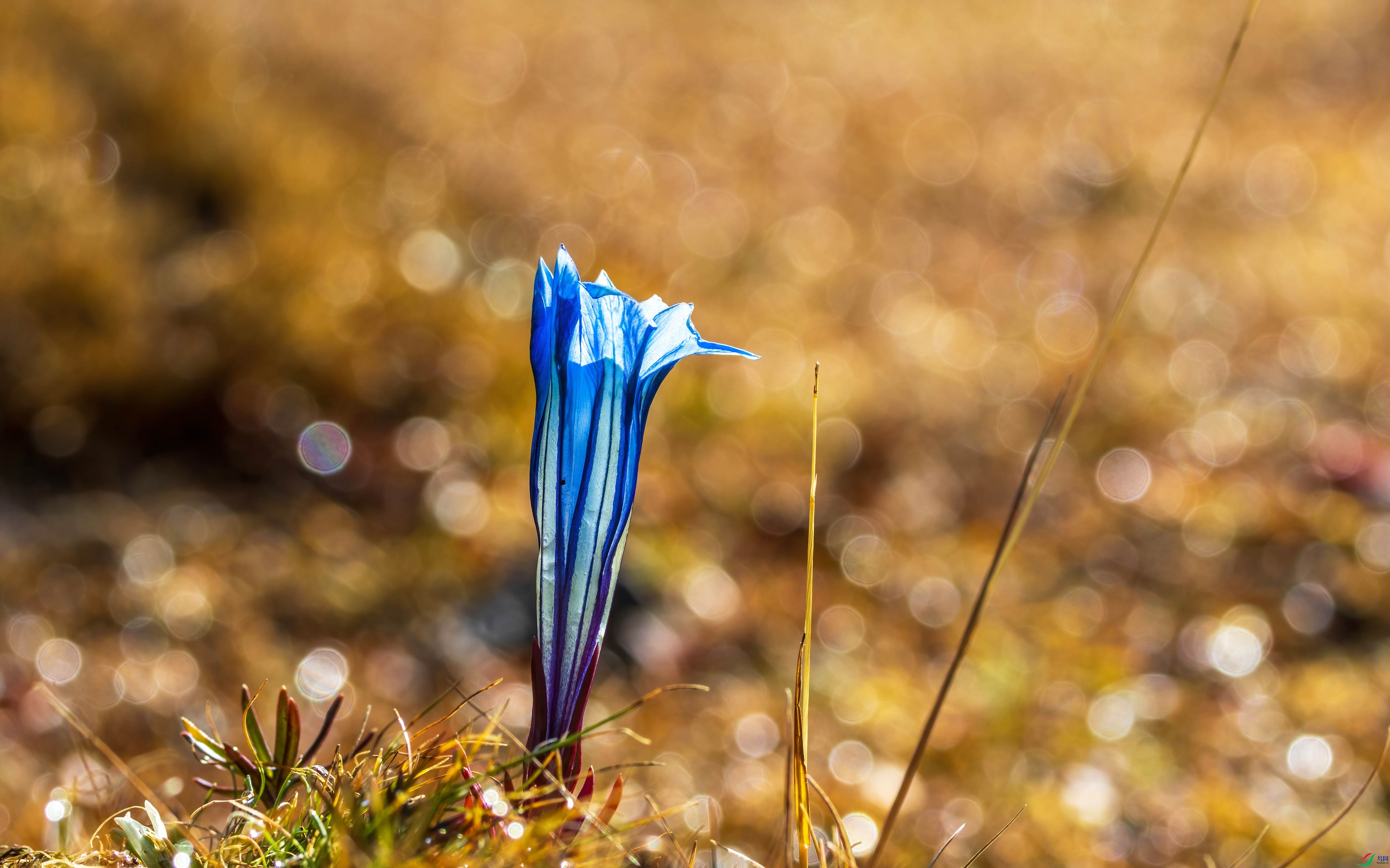 456A8225-����-DeNoiseAI-standard.jpg