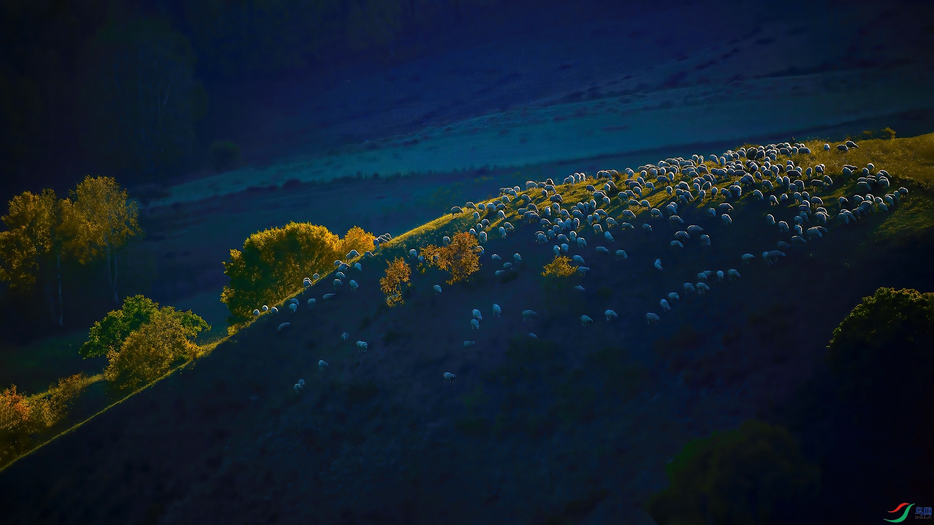 _XIA3338_01.jpg