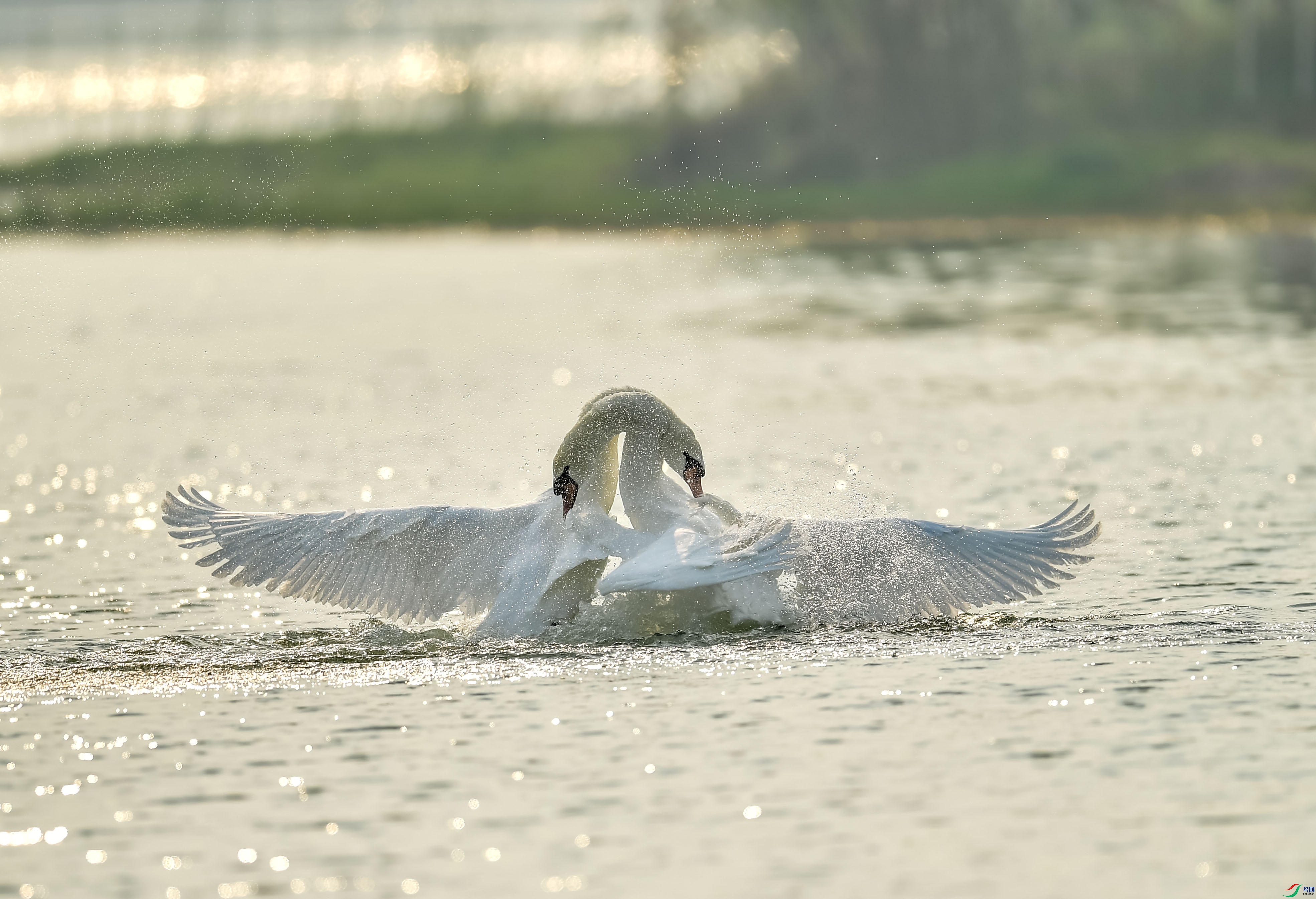 DSC_9111.jpg