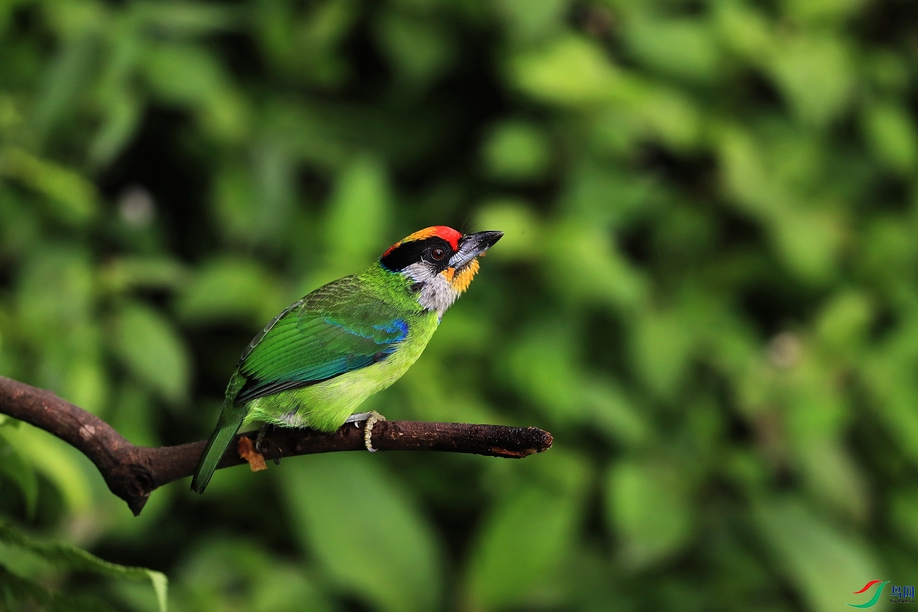 ���� AI0I4330.JPG