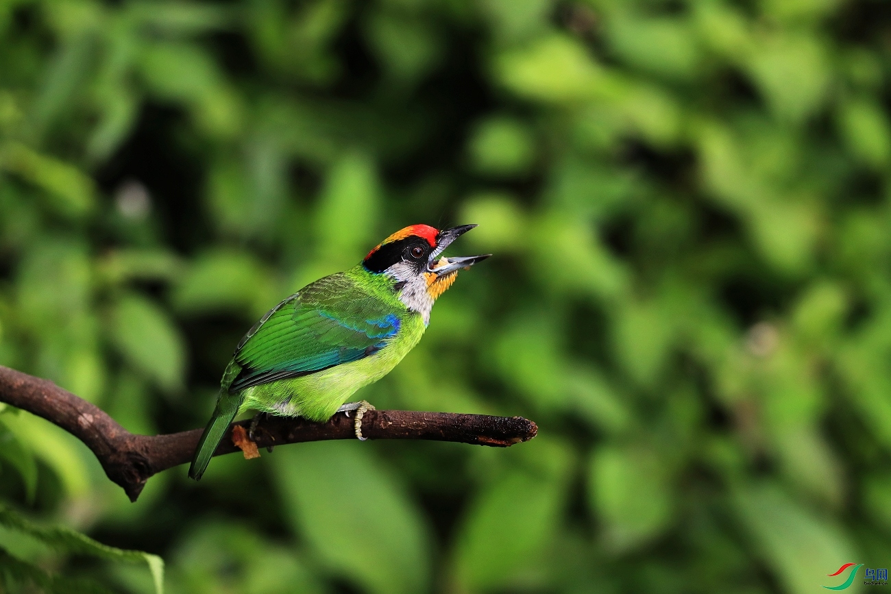 ���� AI0I4329.JPG