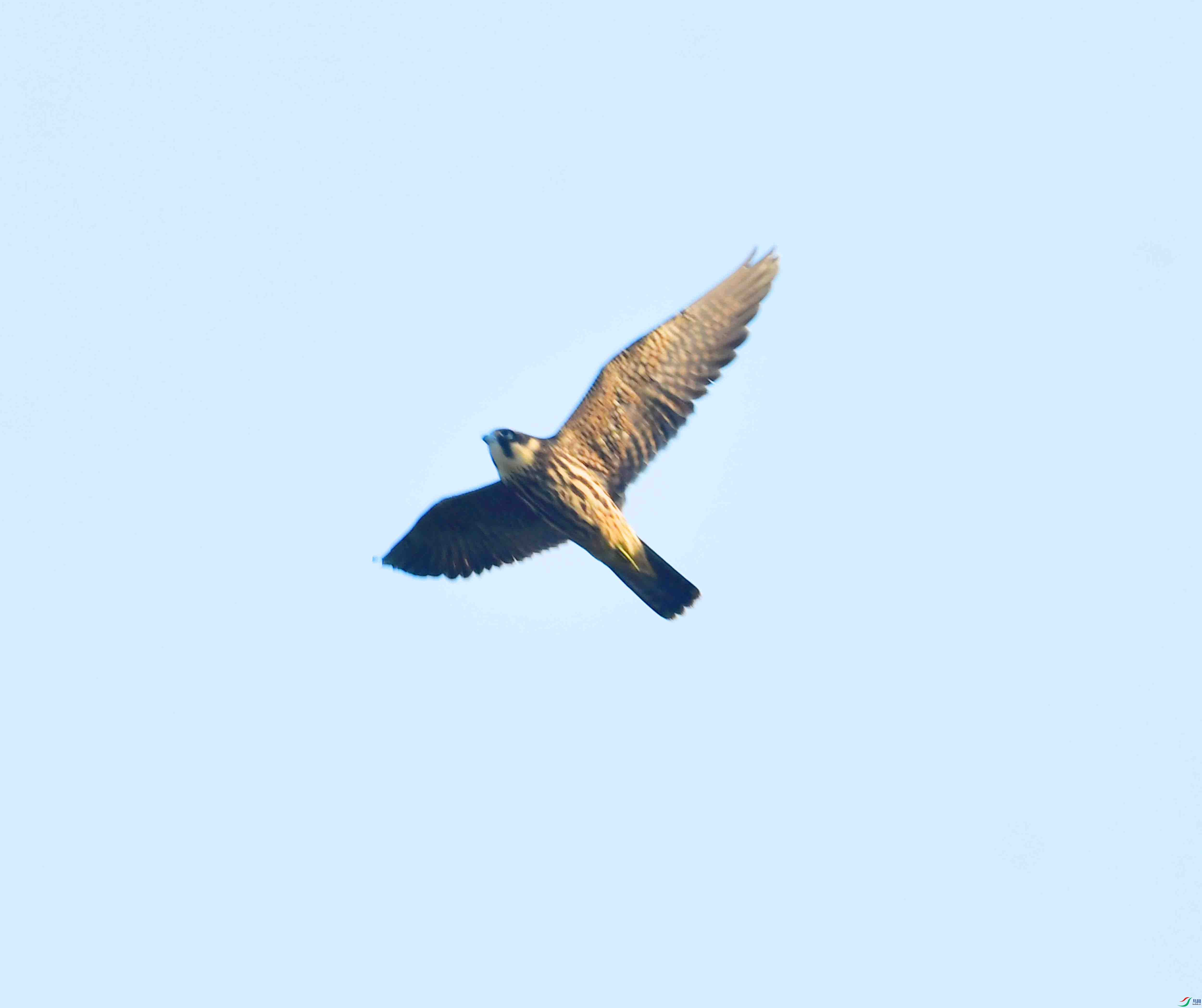 DSC_0047.JPG