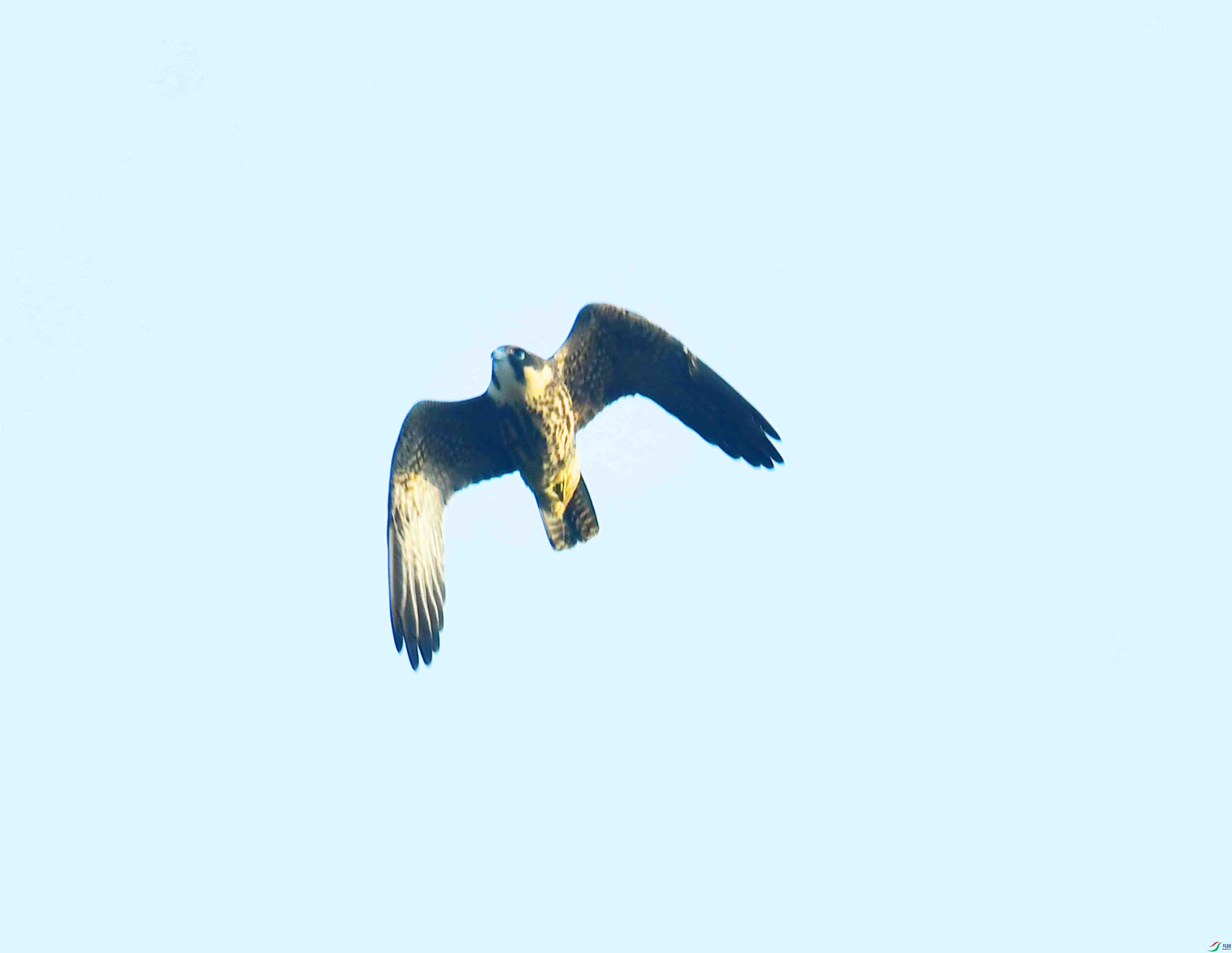 DSC_0046.JPG