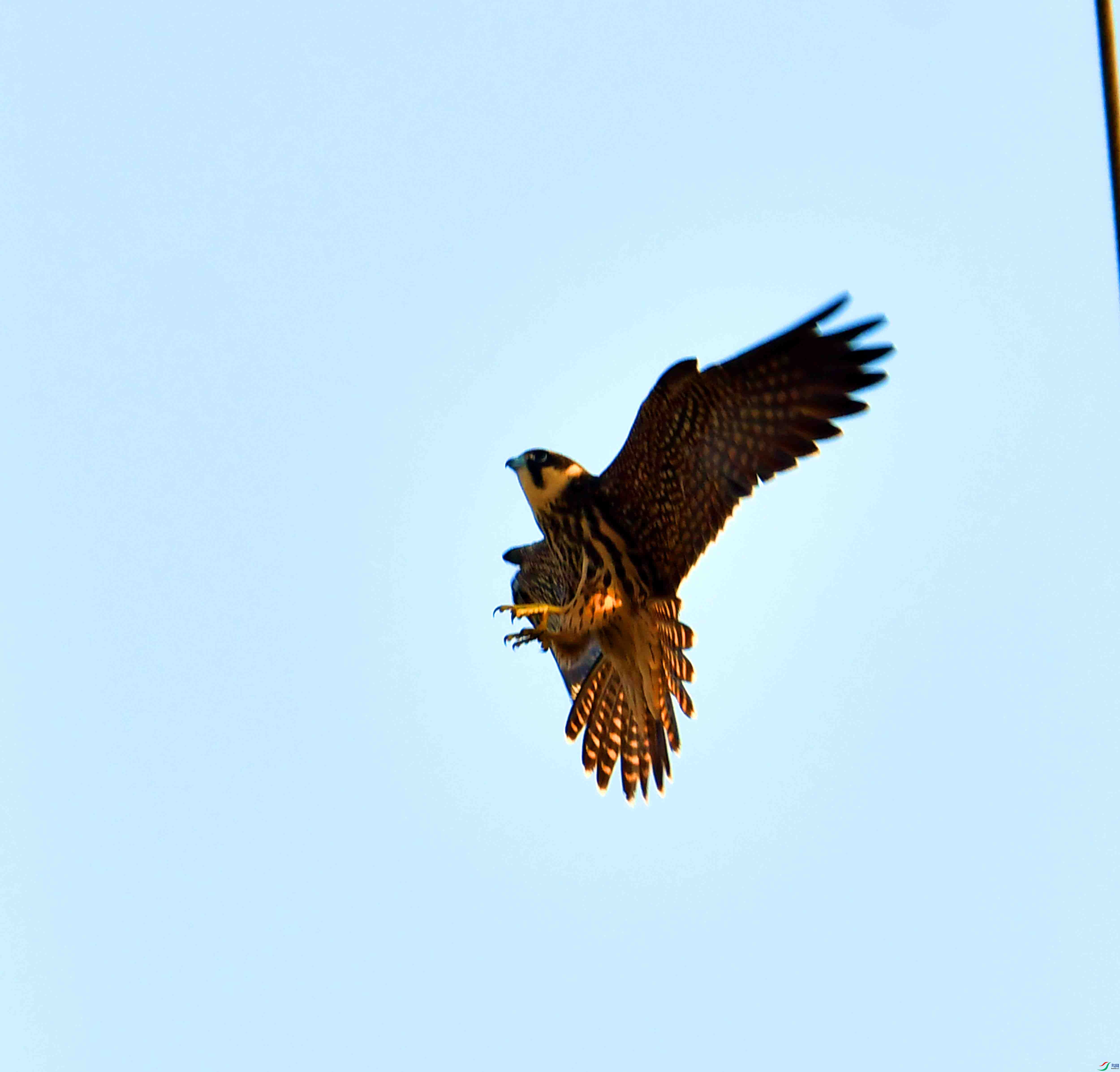 DSC_0051.JPG