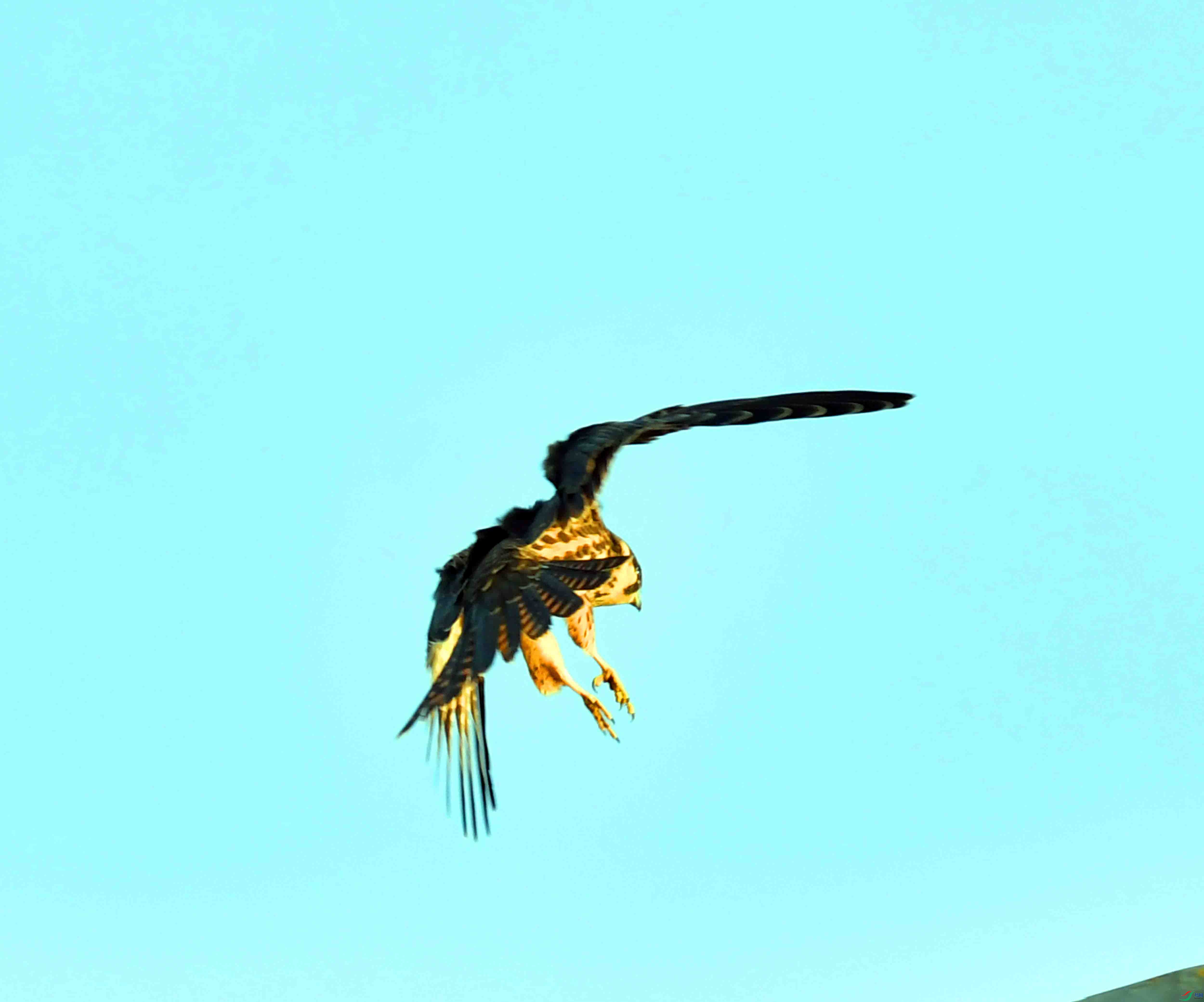 DSC_0061.JPG