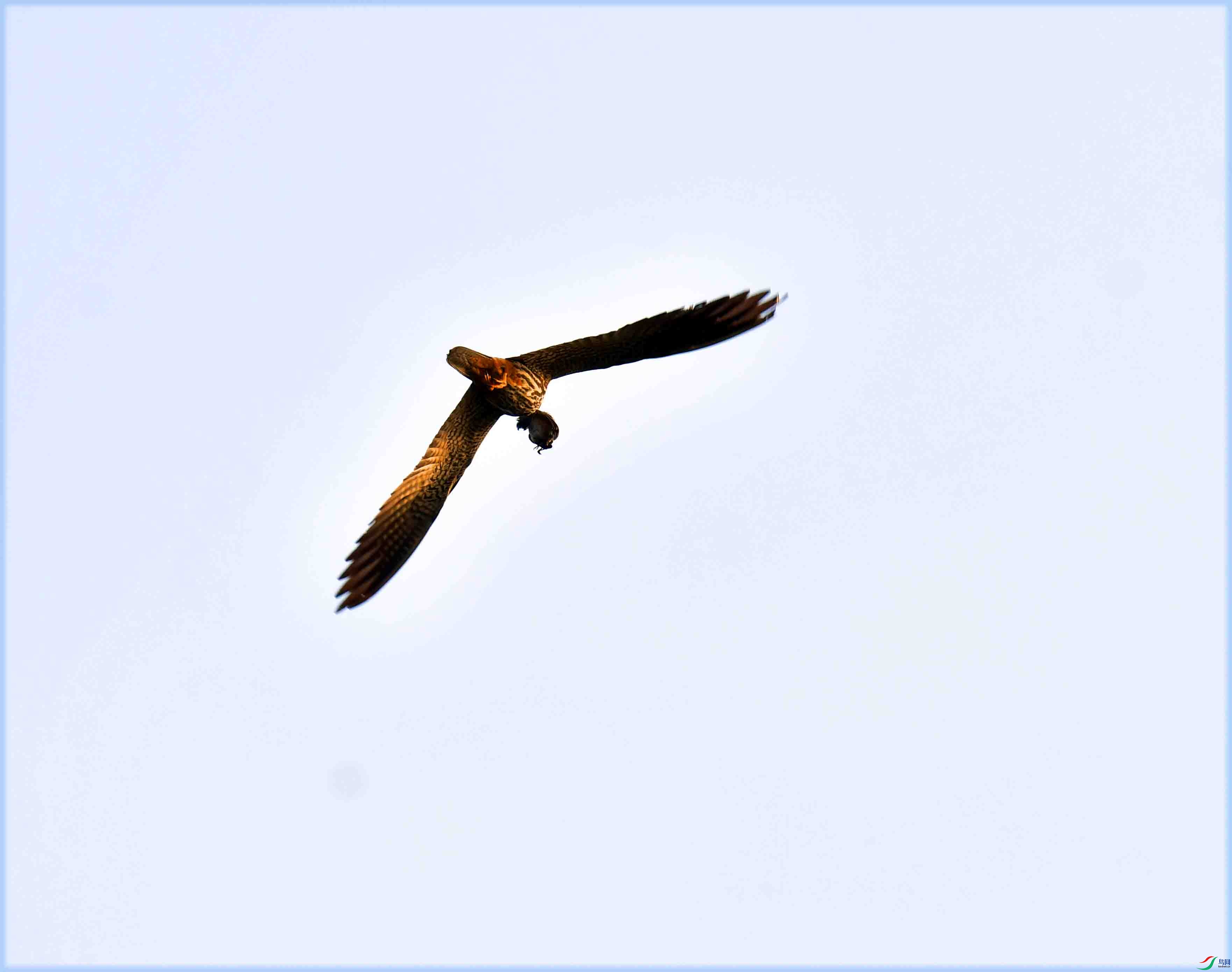 DSC_0082.JPG