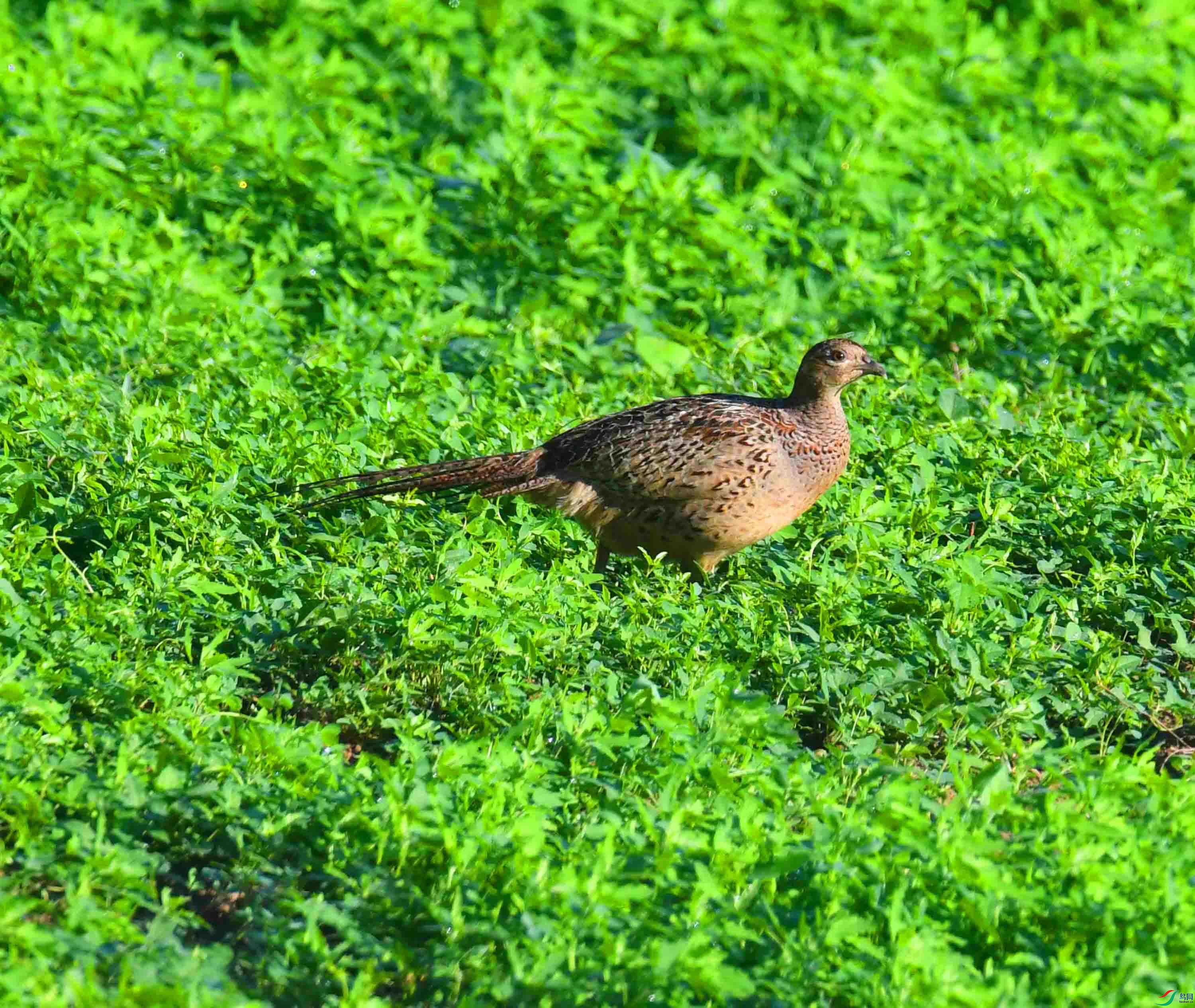 DSC_2844.JPG