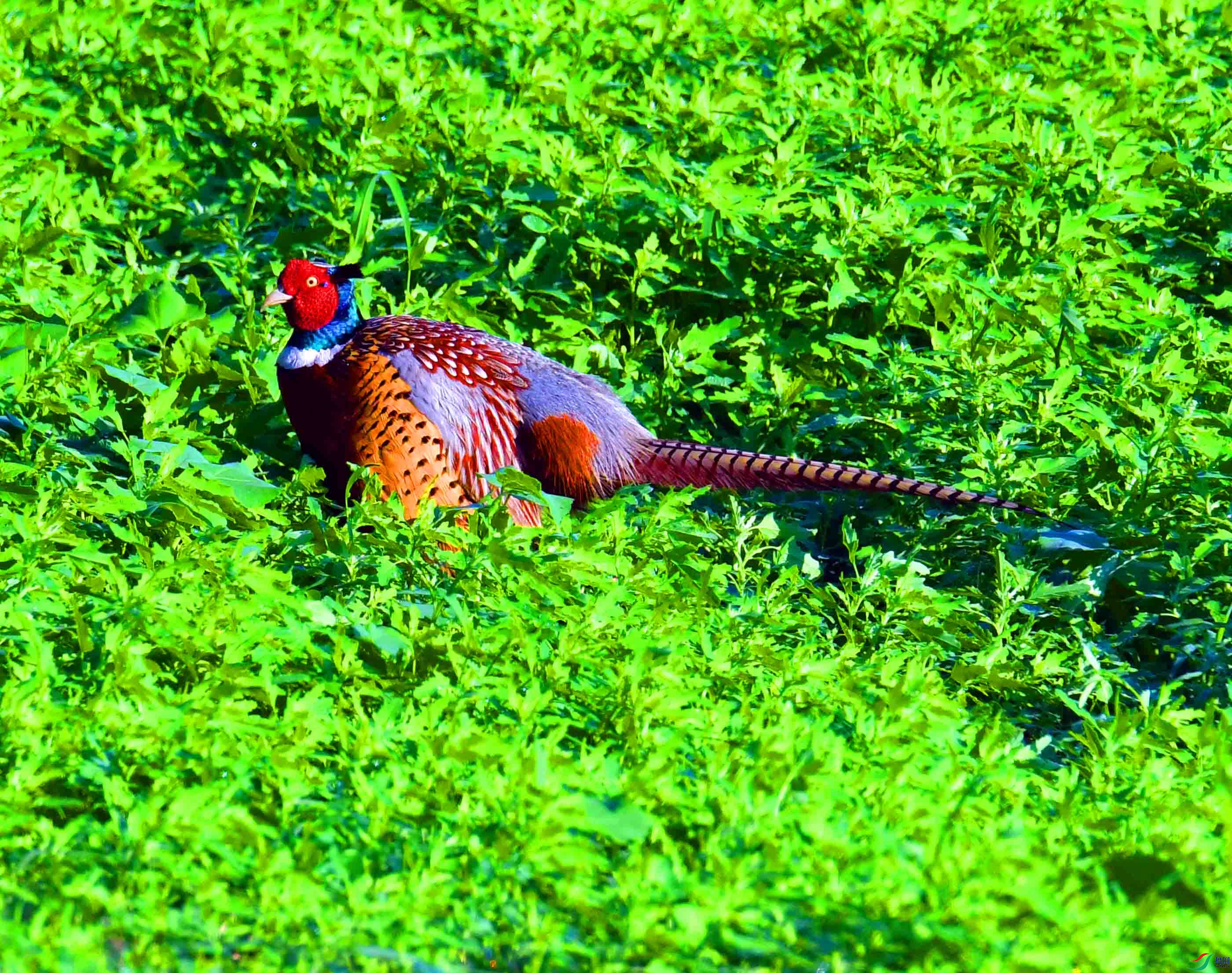 DSC_2926.JPG