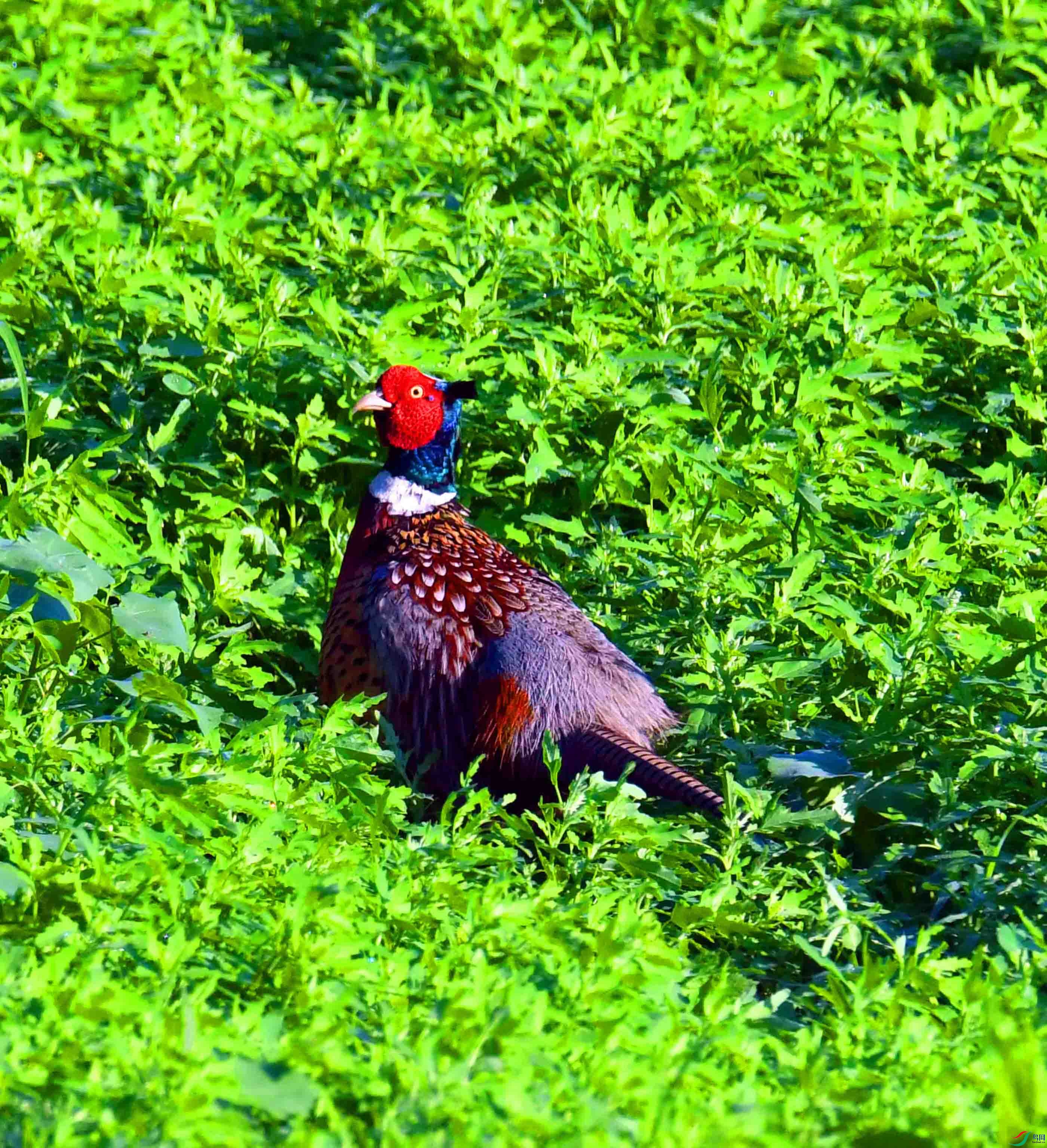 DSC_2914.JPG