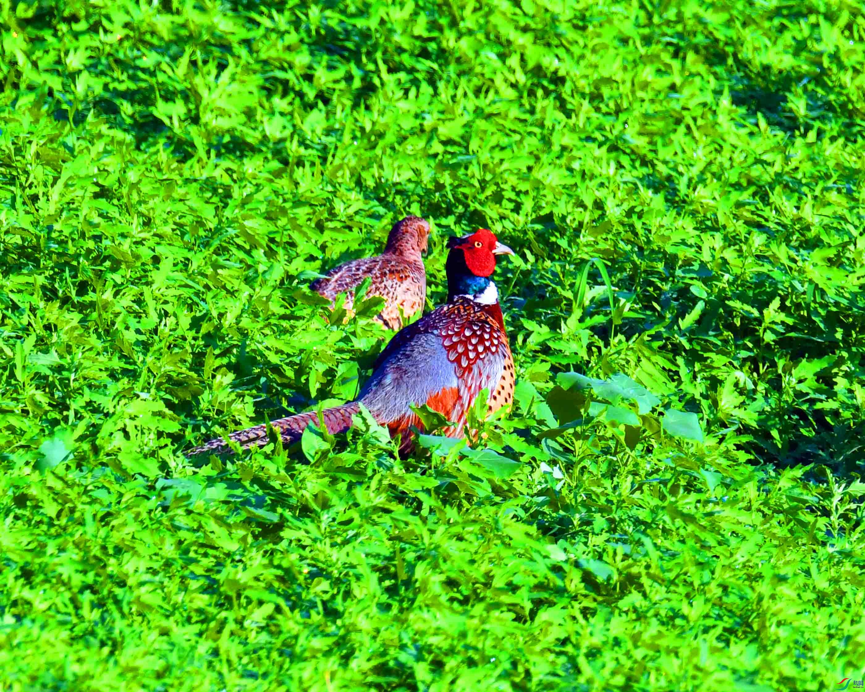 DSC_2966.JPG