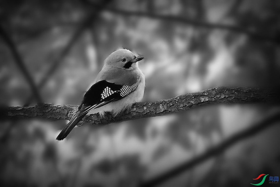 DSC_5002.jpg
