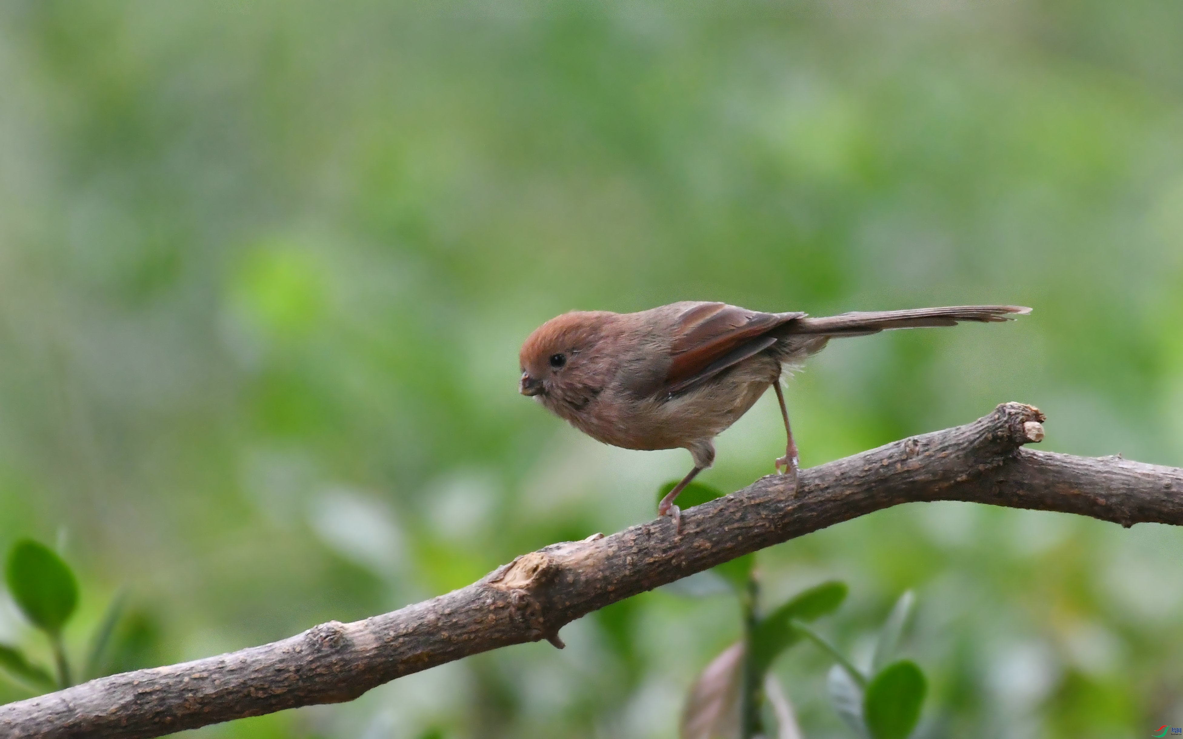 DSC_6890.JPG