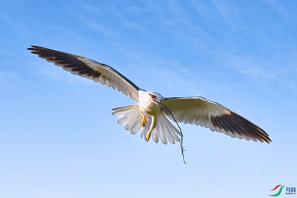 �ڳ��2 - ����.jpg